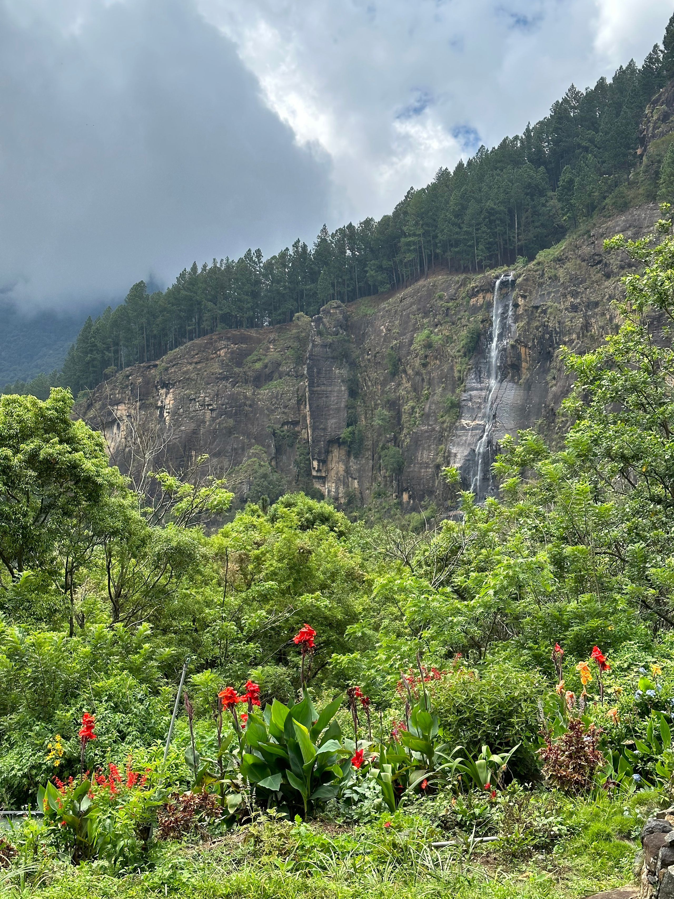 Bambarakanda waterfalls