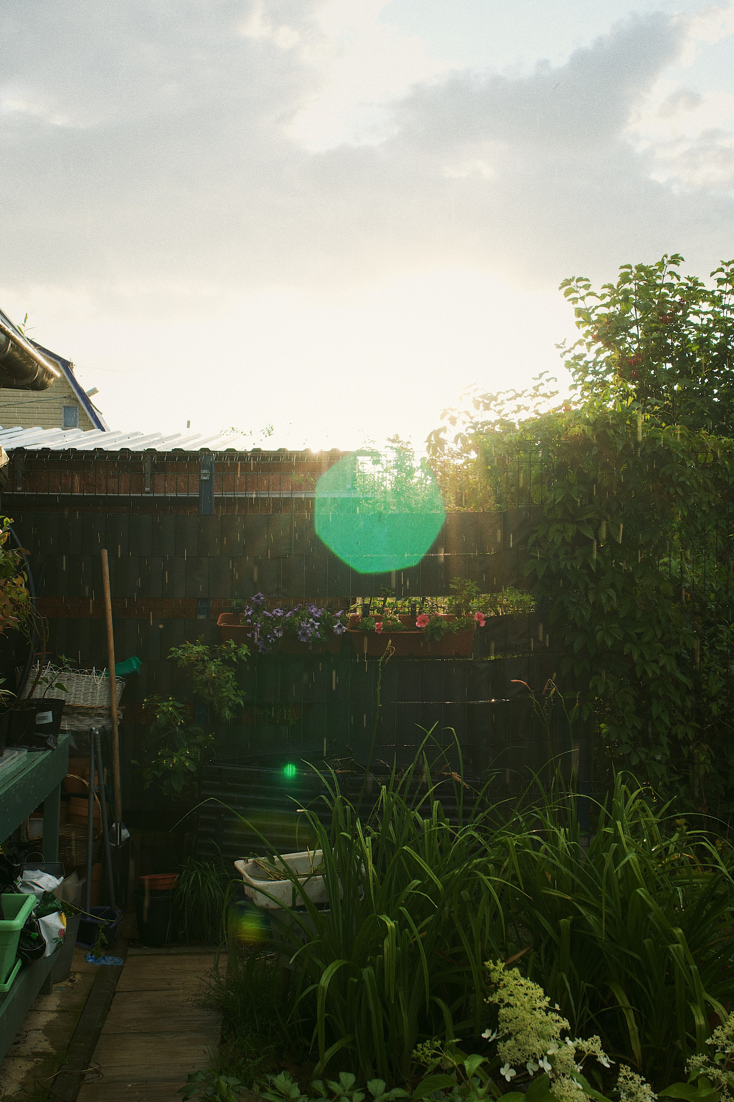 Fazenda. Photokoval.ru