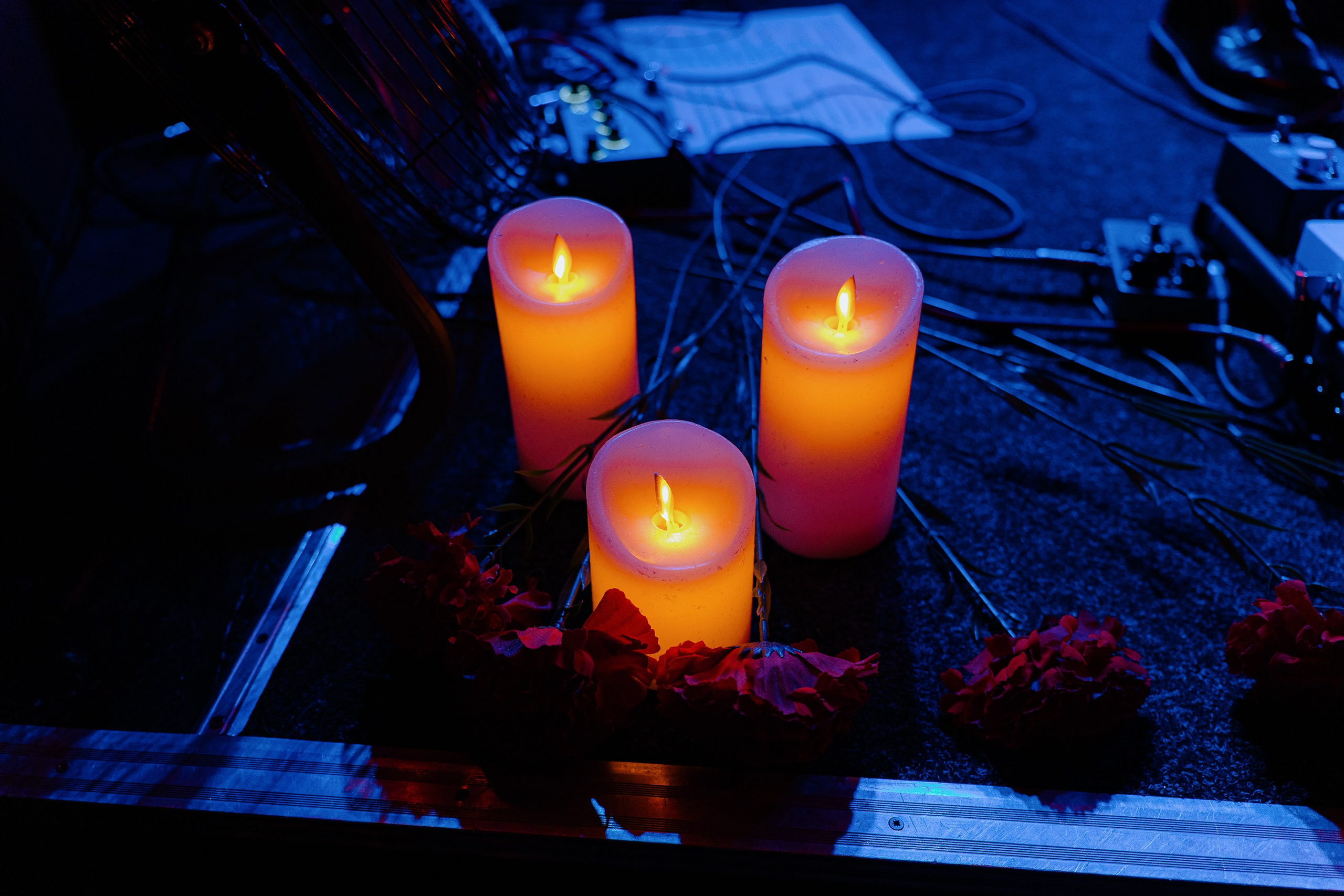 Port Avenue. Zoccolo 2.0. 21.11.2025. Главная