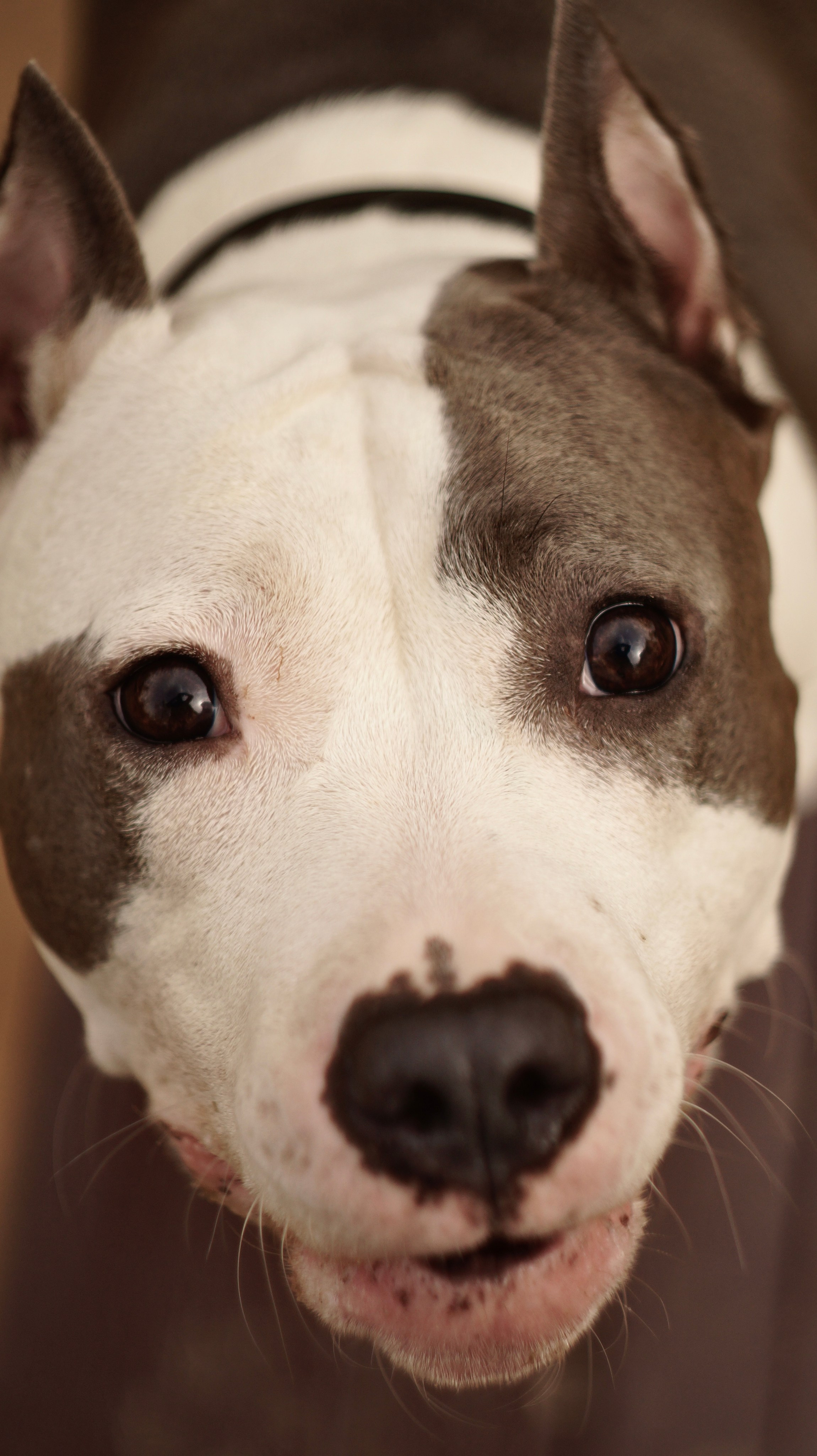 Луна. Профессиональный фотограф