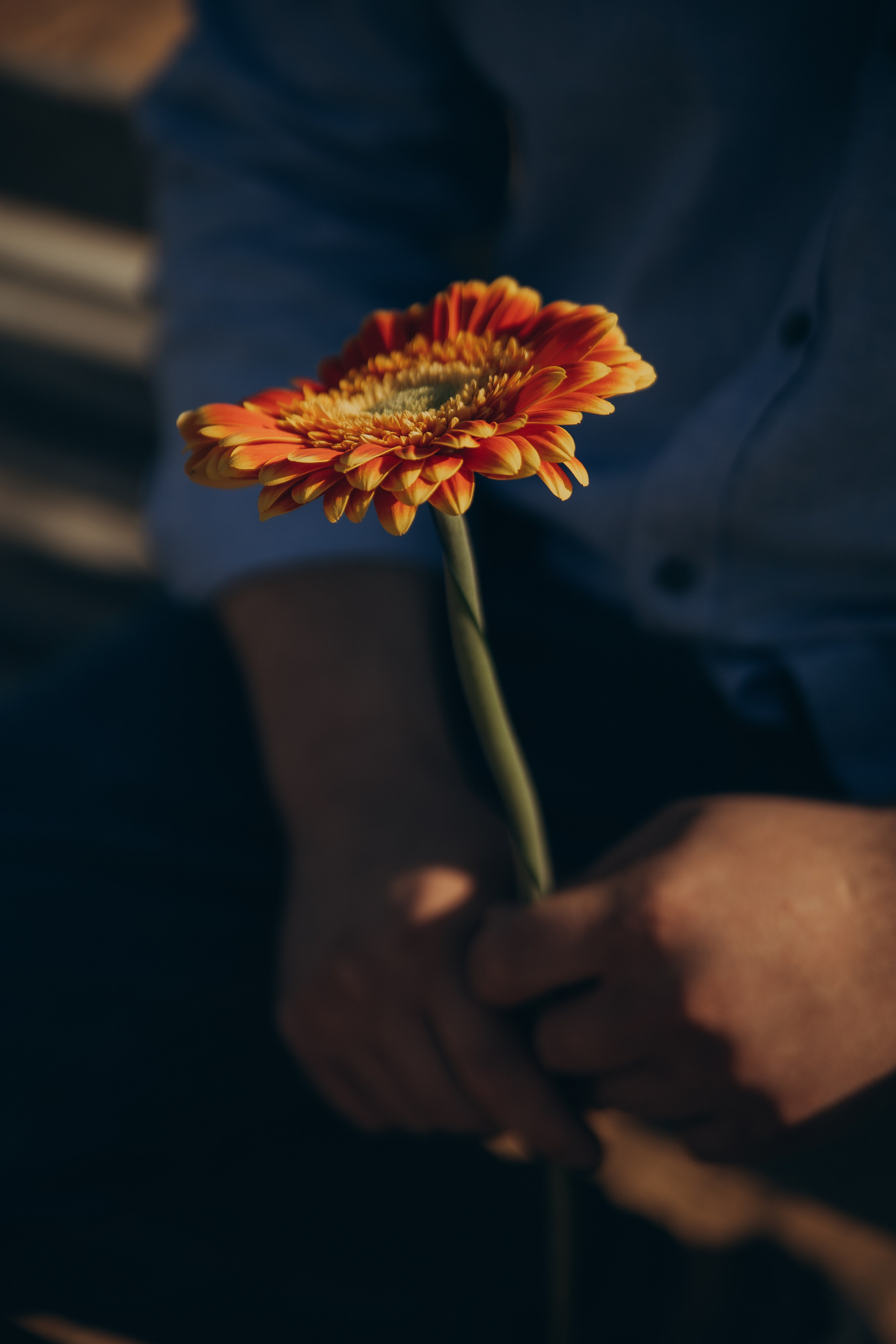 Алексей и Даша. Семейный и детский фотограф в Нижнем Новгороде Анурьева Алена