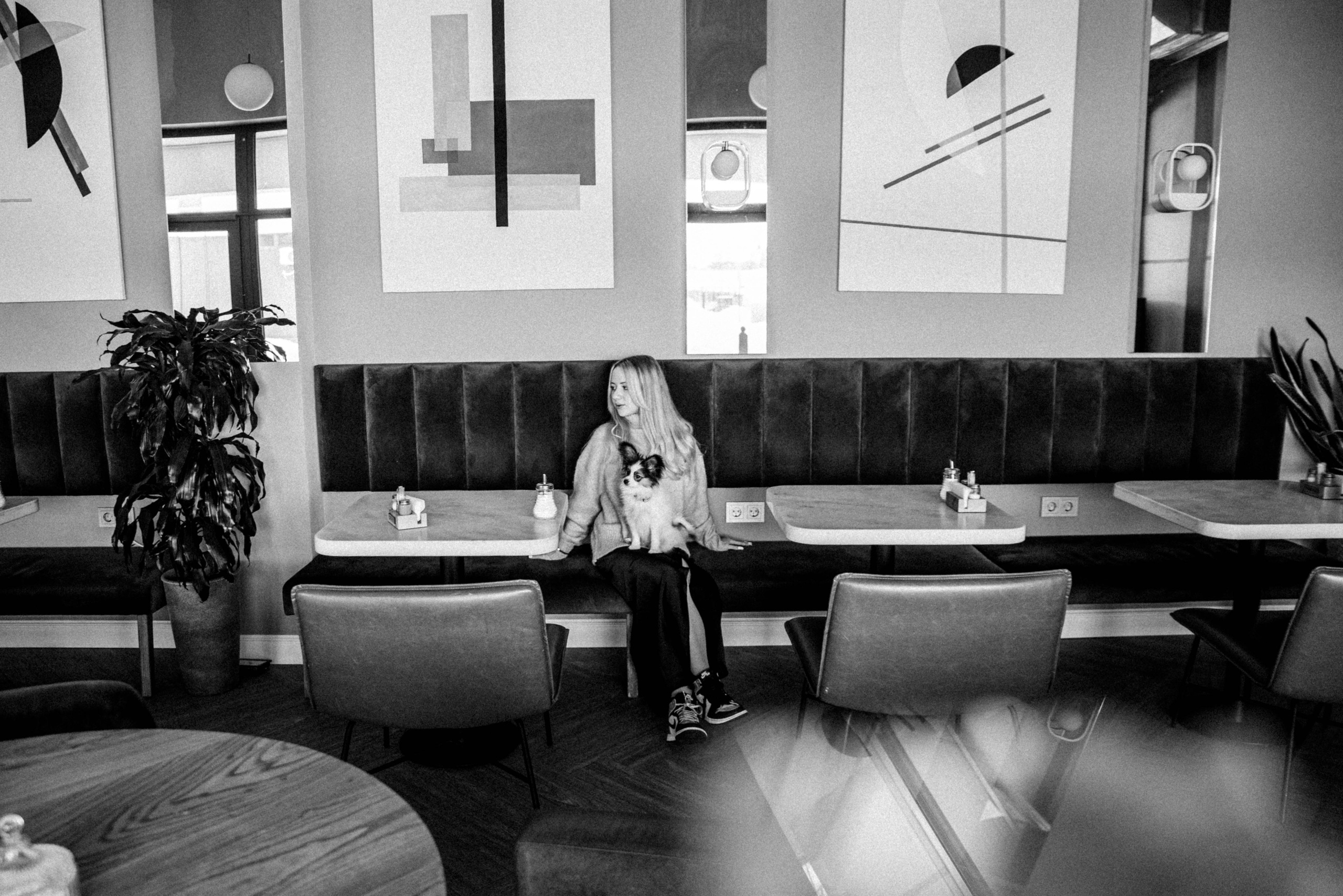 Настя, Света и Папийон Луней. Главная