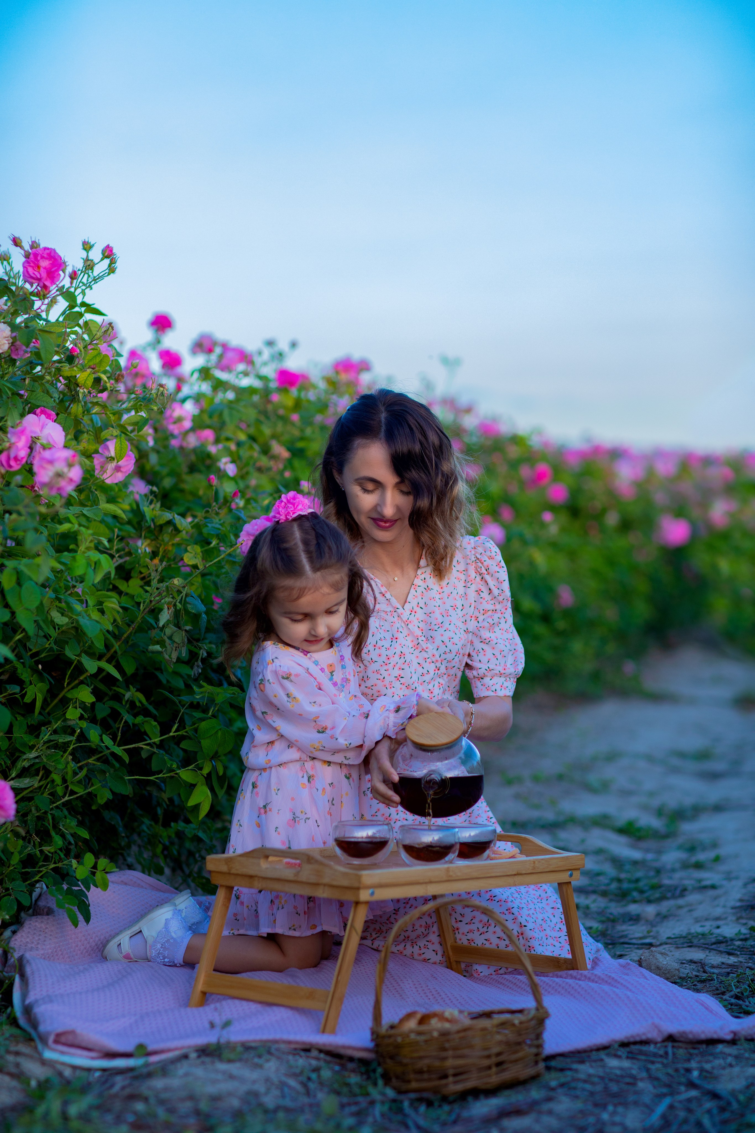 Чайная роза. Фотограф Севастополь/Крым Светлана Евтушенко