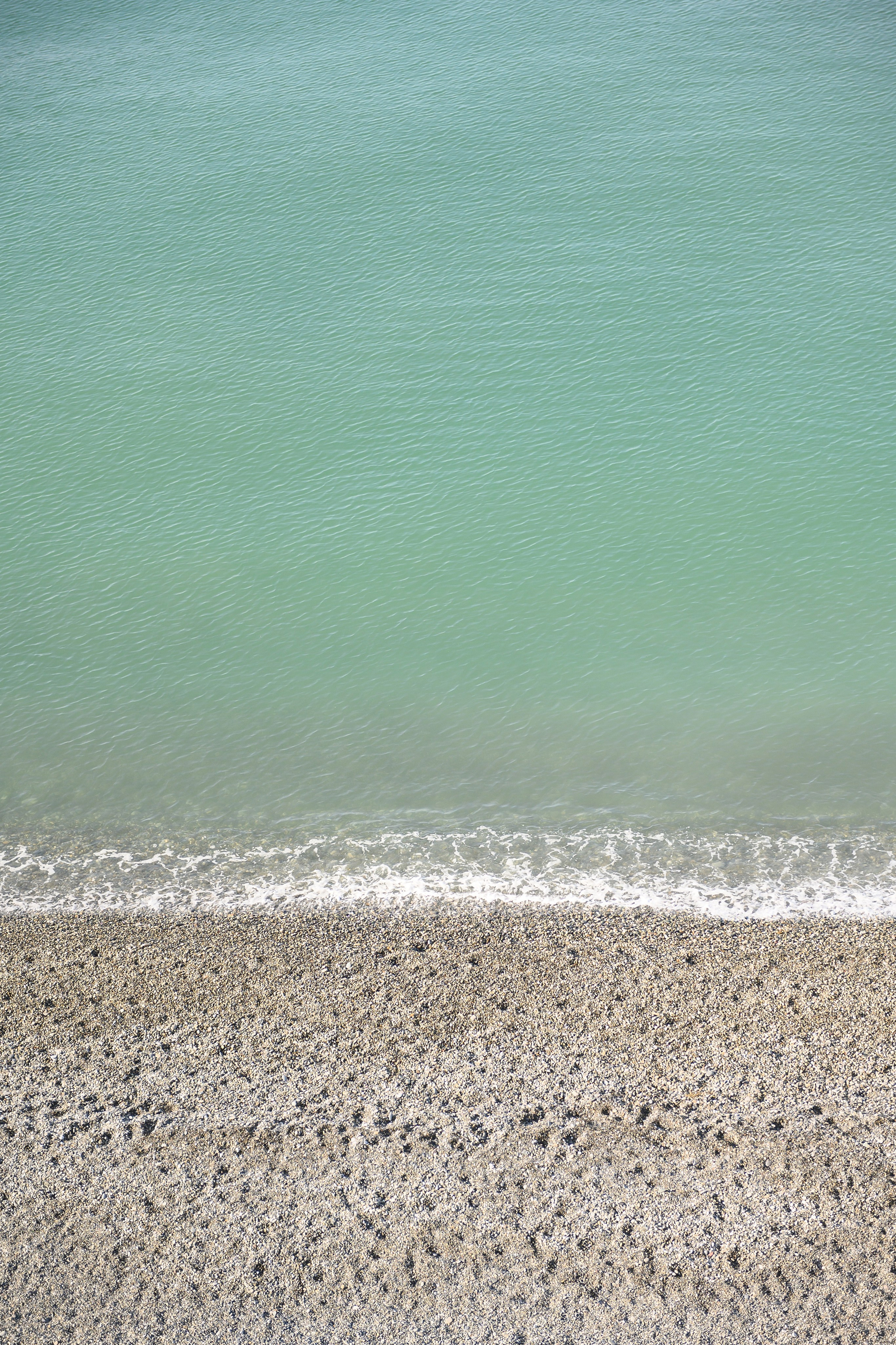 Свадьбы. Фотограф на мероприятие в Москве Марик