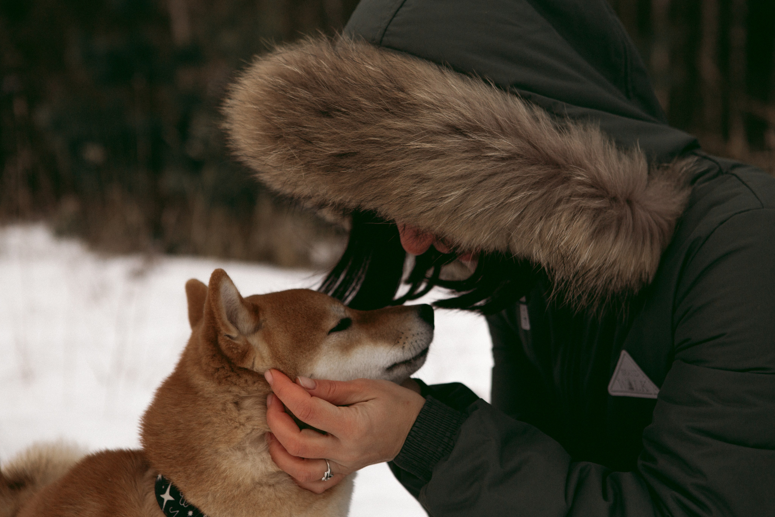 Katya, Dima, Rokki. Portrait, family and pet photographer in Cyprus, Ksenia Bourdelle
