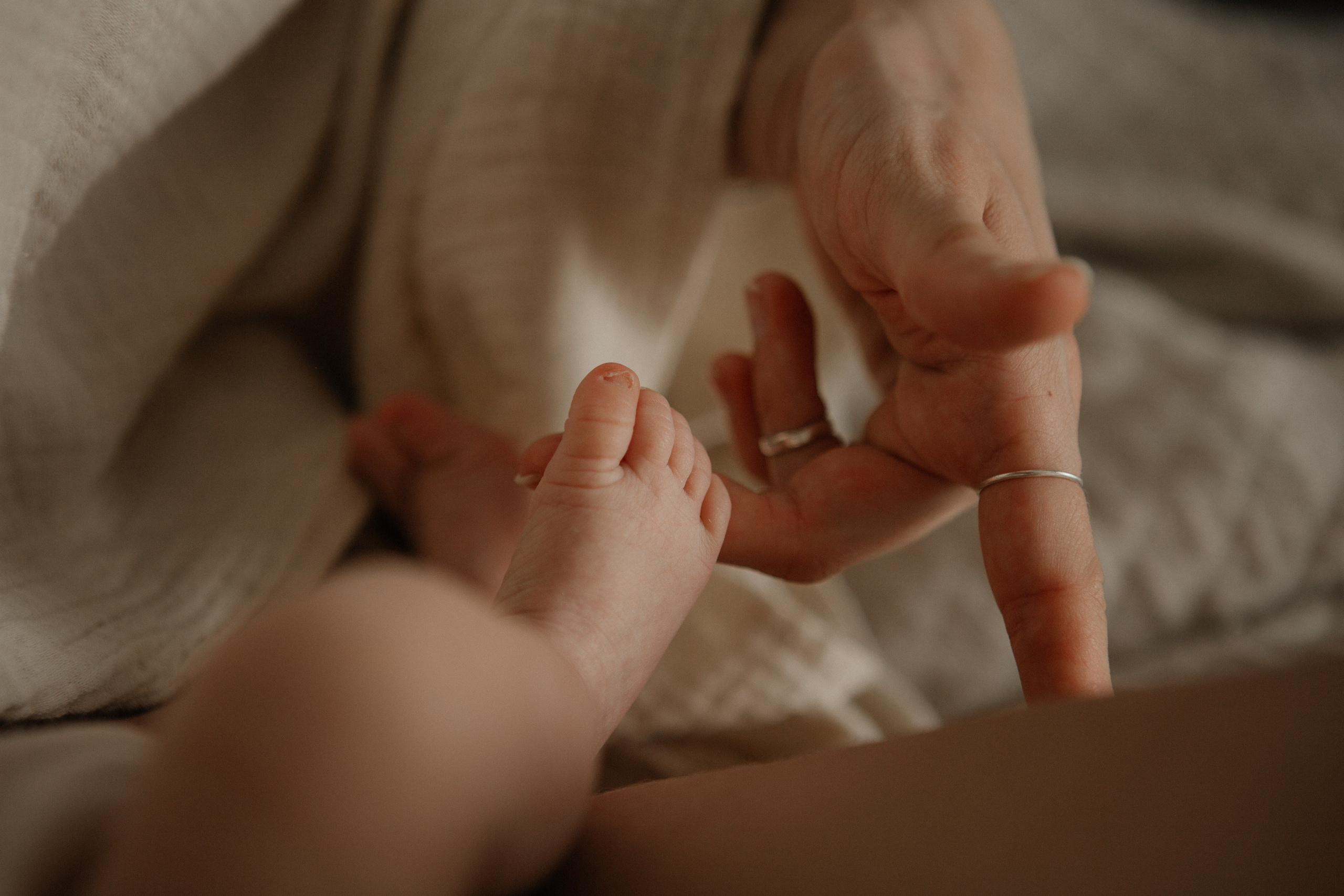 Kira + Katya & Igor. Portrait, family and pet photographer in Cyprus, Ksenia Bourdelle