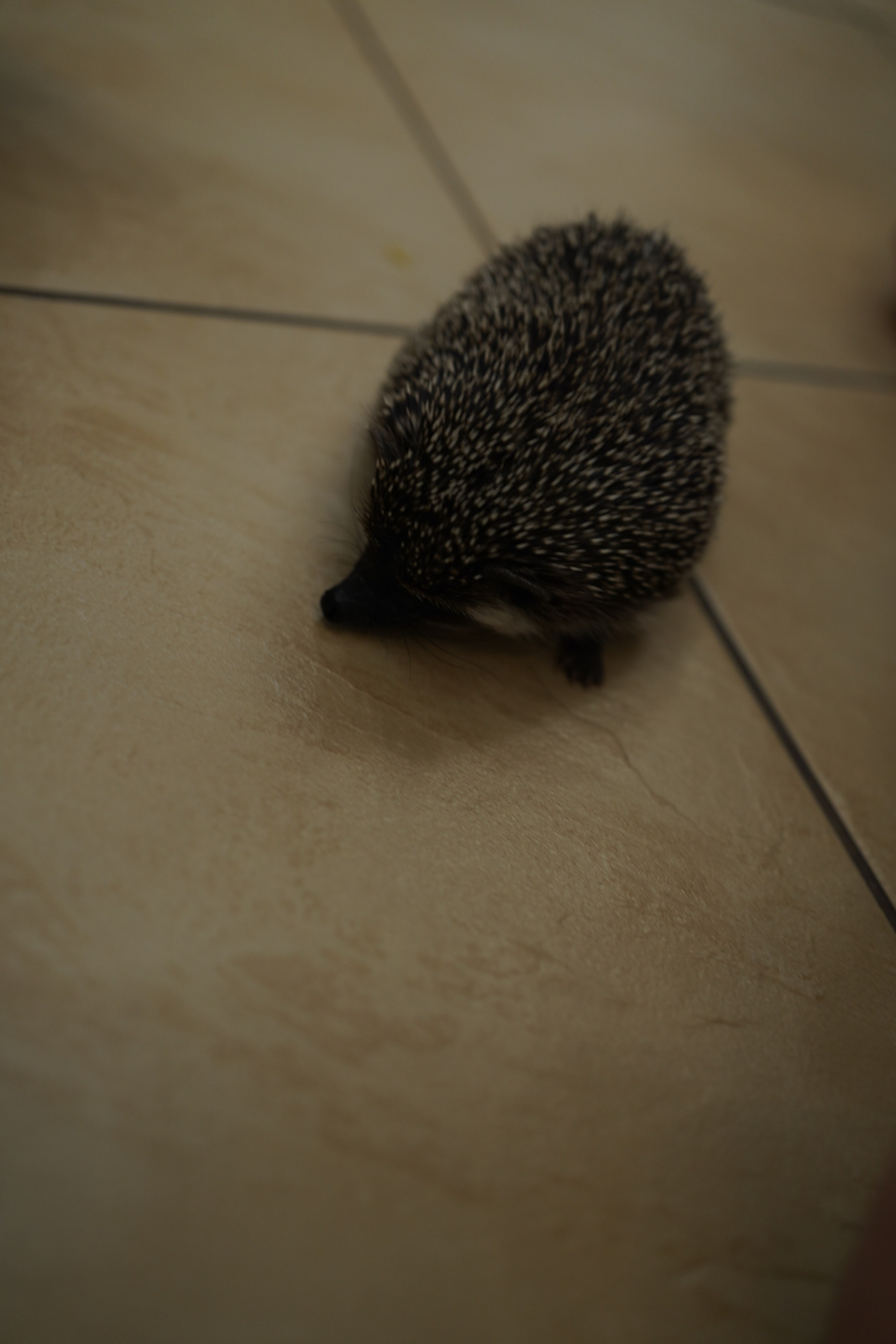 НГ 2020. Заставка