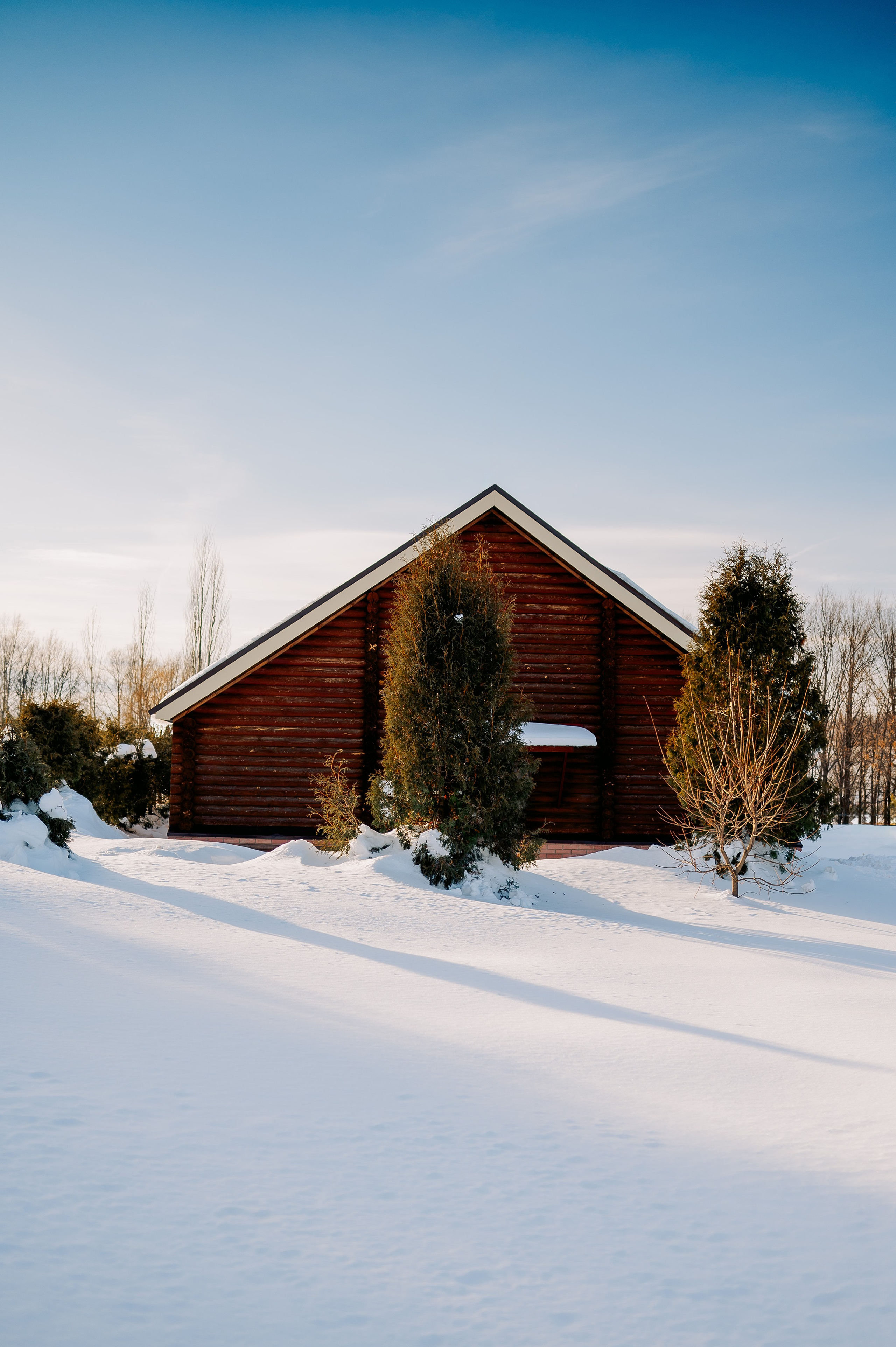База отдыха «Заимка», Чувашия, февраль 2024. Фотограф Александр Золотых