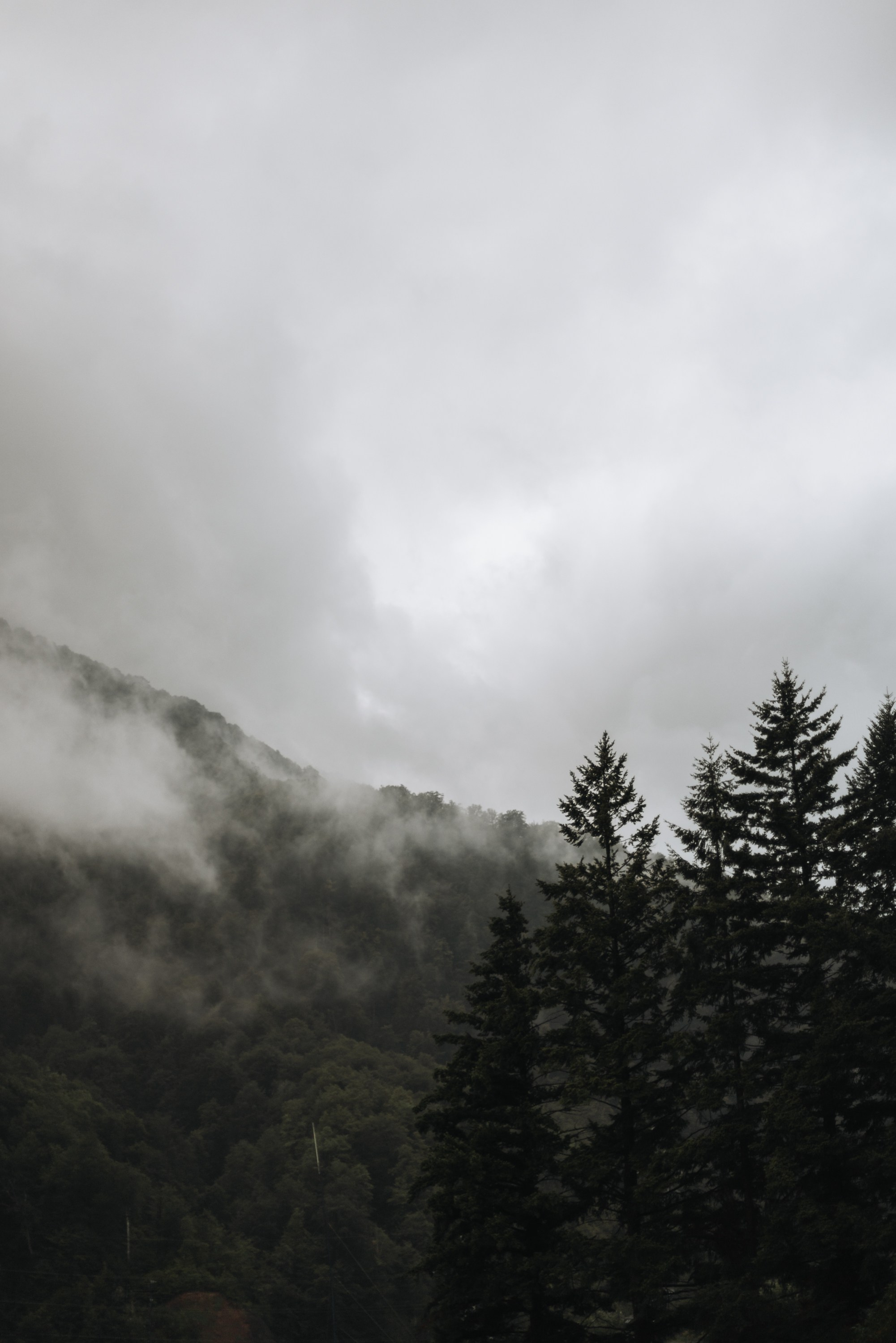 Helen. Фотограф на Юге России