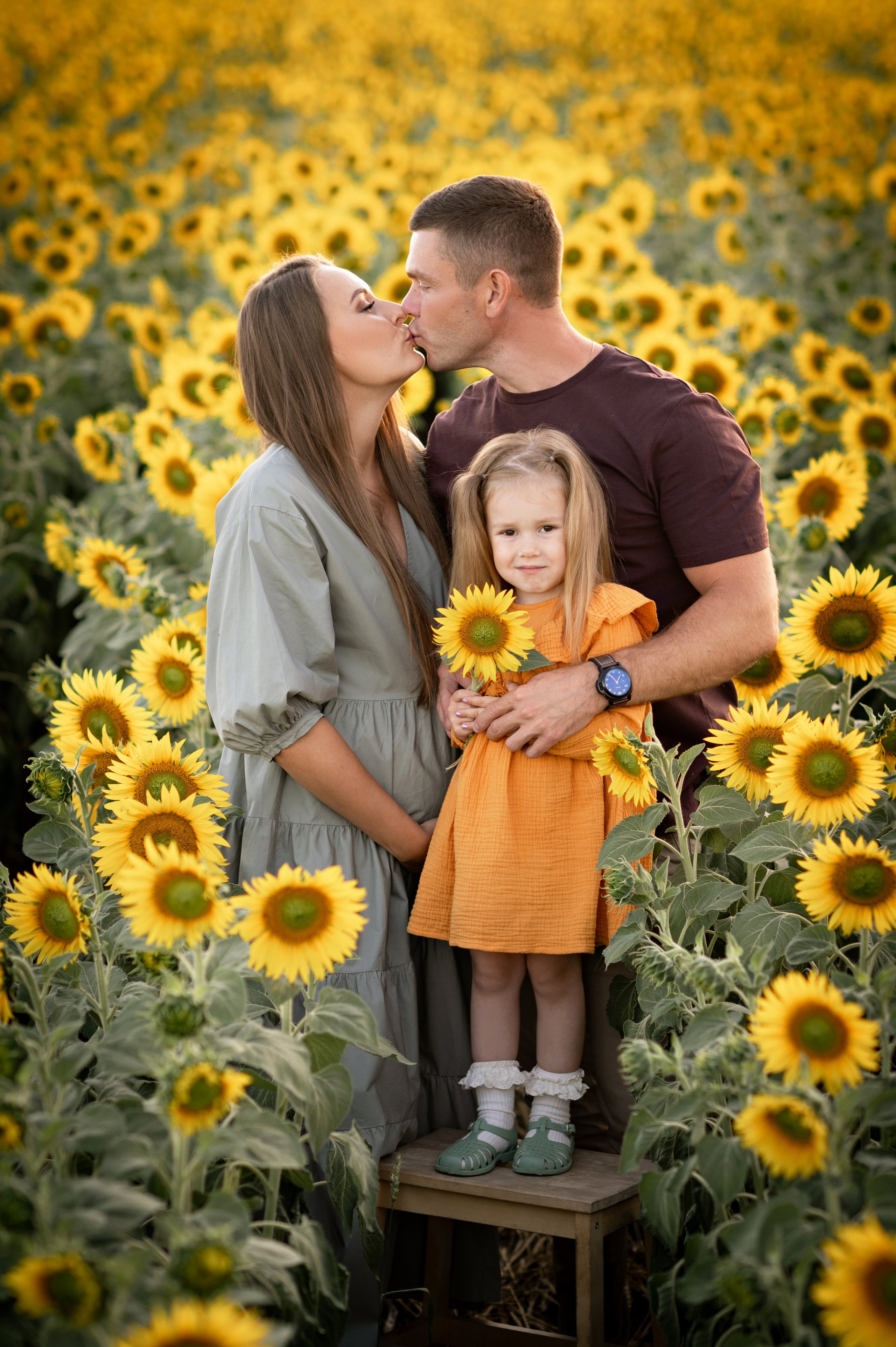 Подсолнухи. Семейный фотограф в Красноярске Надежда Кошелева
