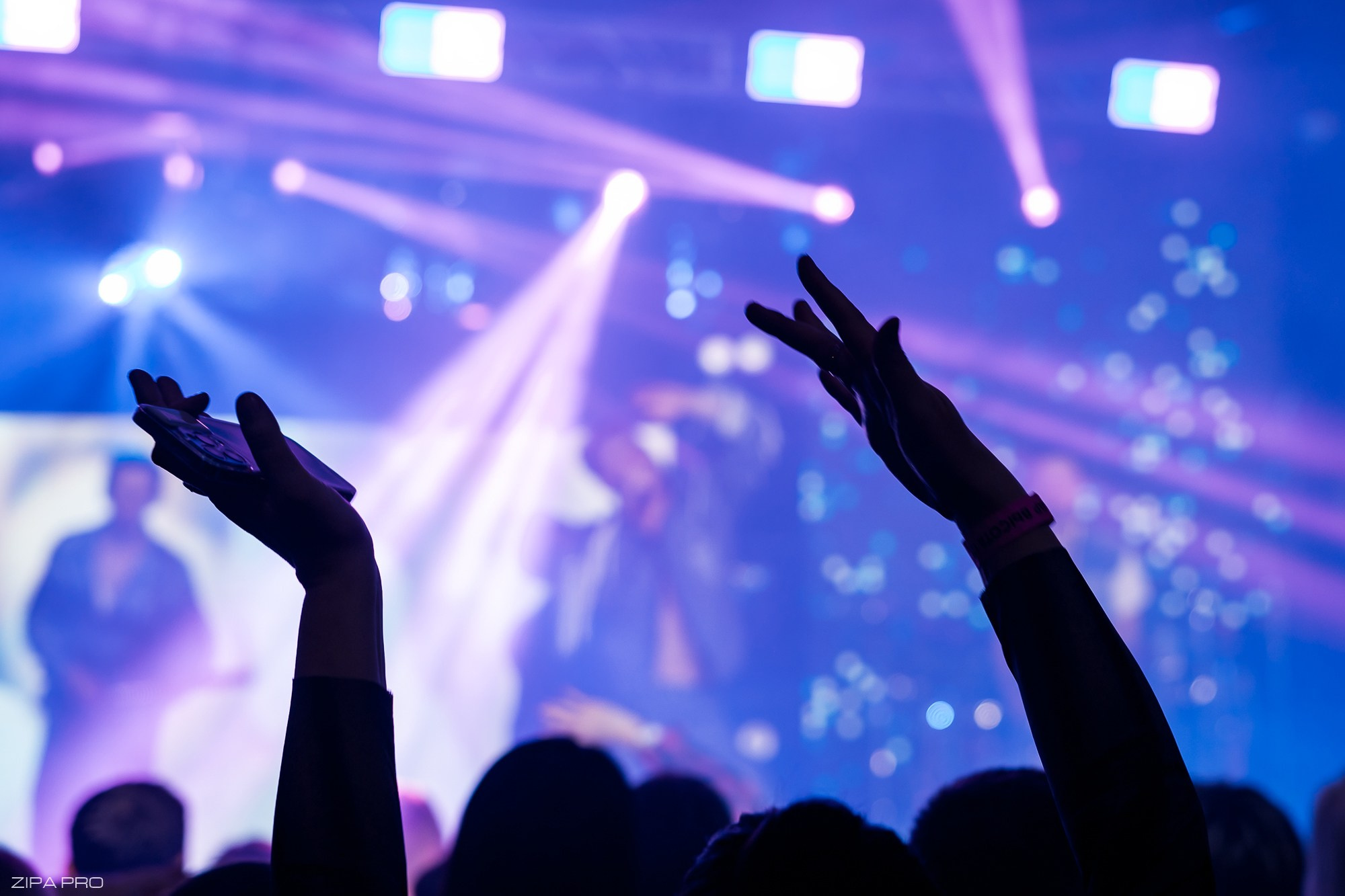 Сольный концерт кавер-группы «Балбесы». Фотограф Zipa Pro