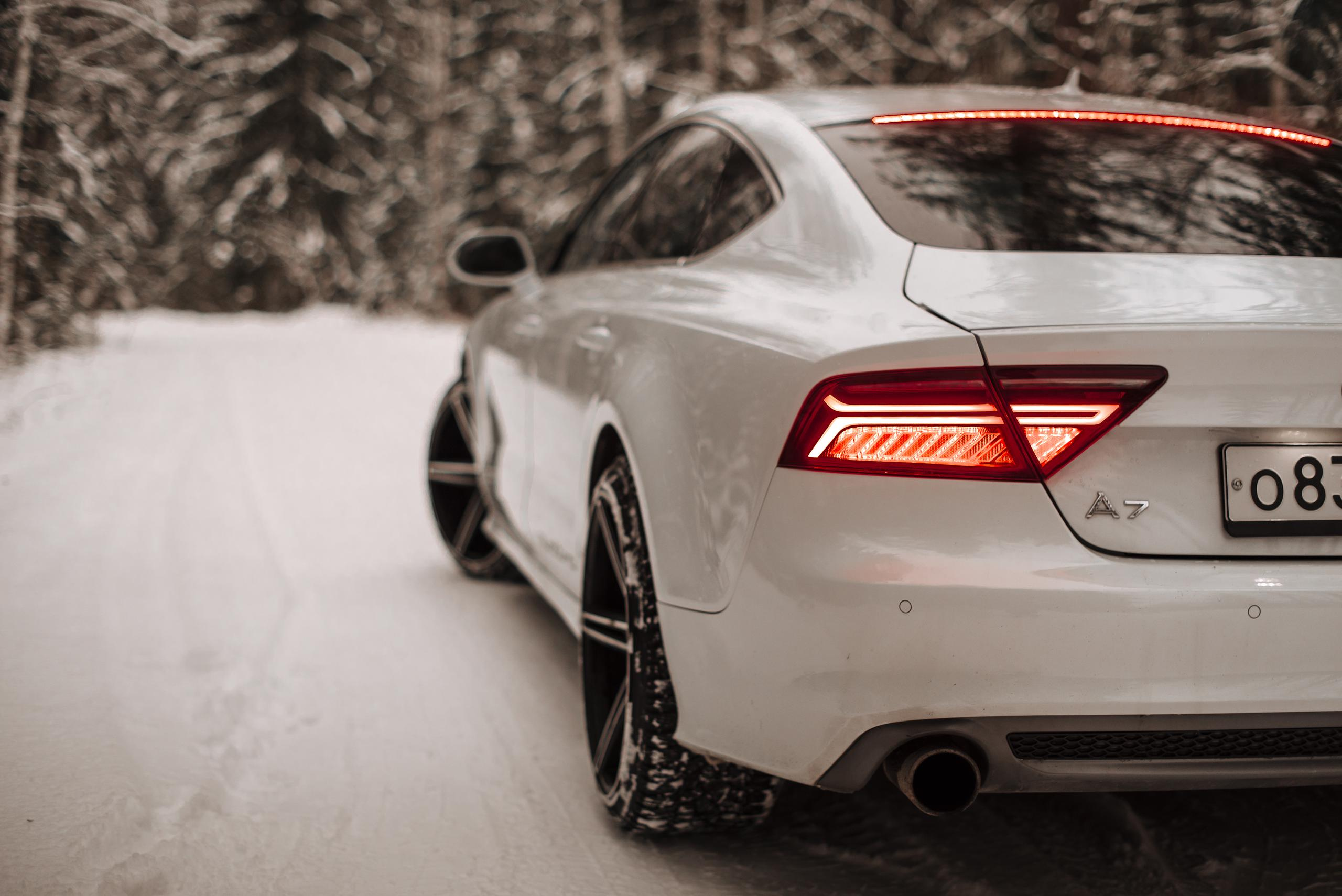 Отзывы. Фотограф Мария Орлова (Мирный, Плесецк, Каргополь)