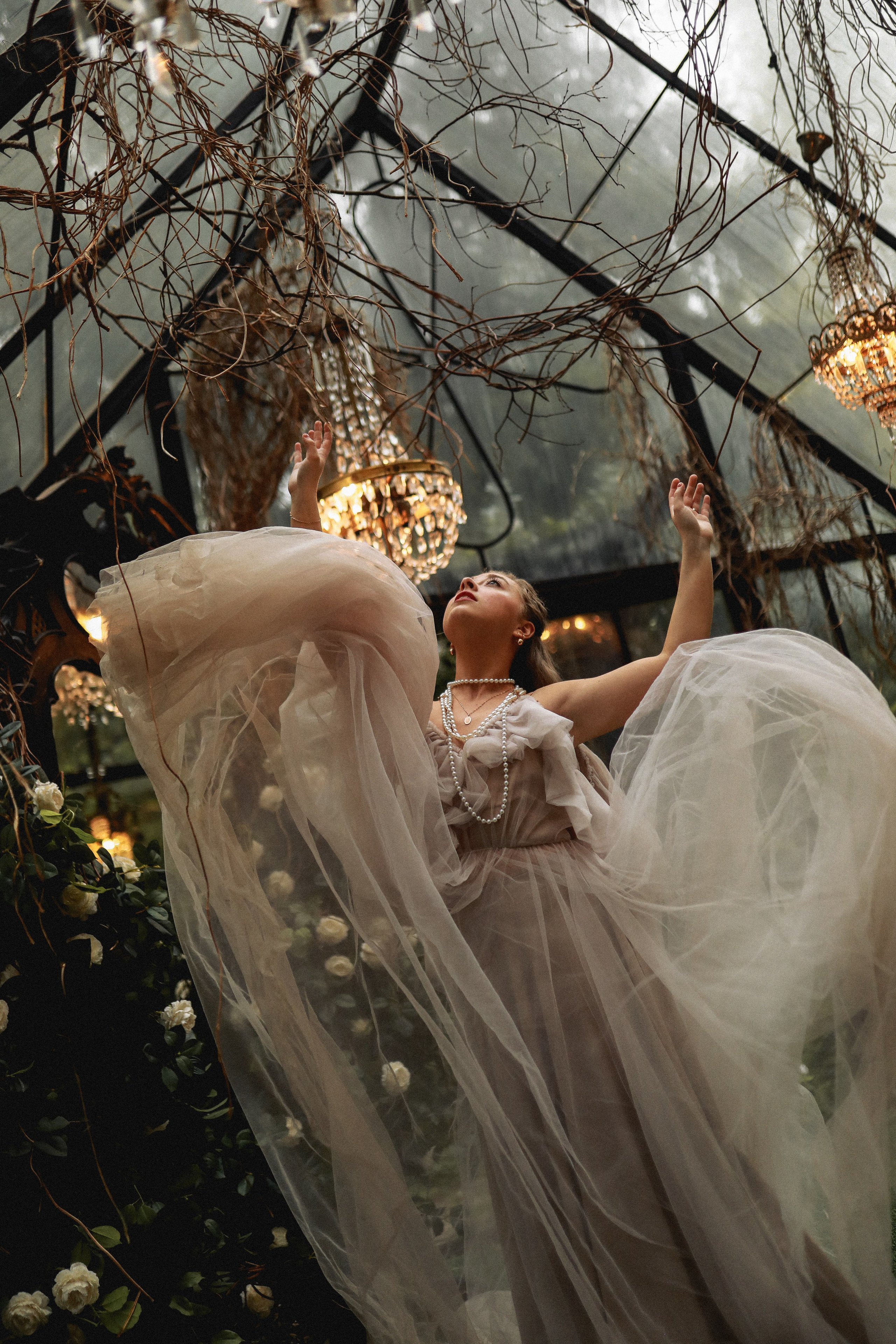 Зачарованный лес