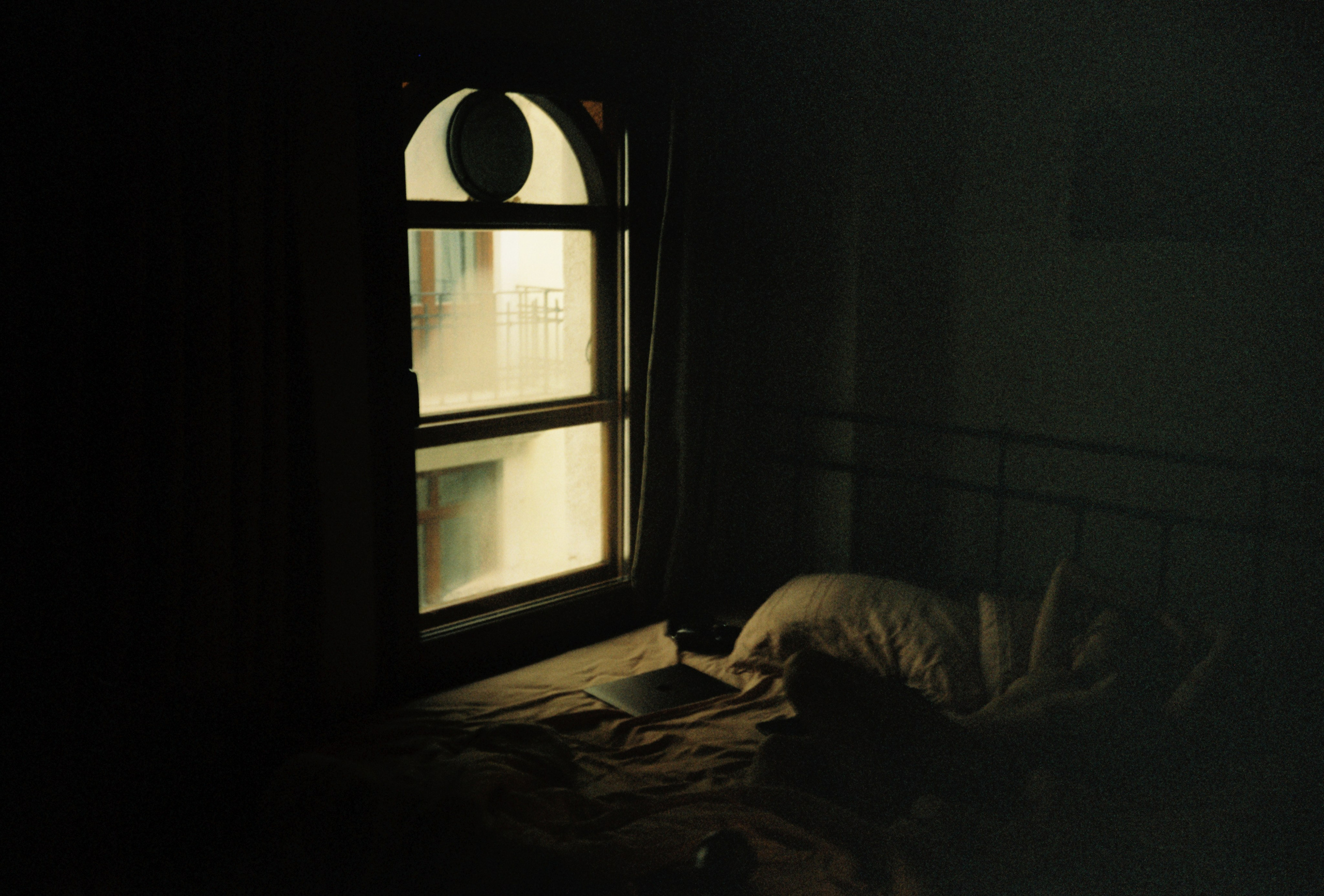 Film chronicle. Kosky ilya