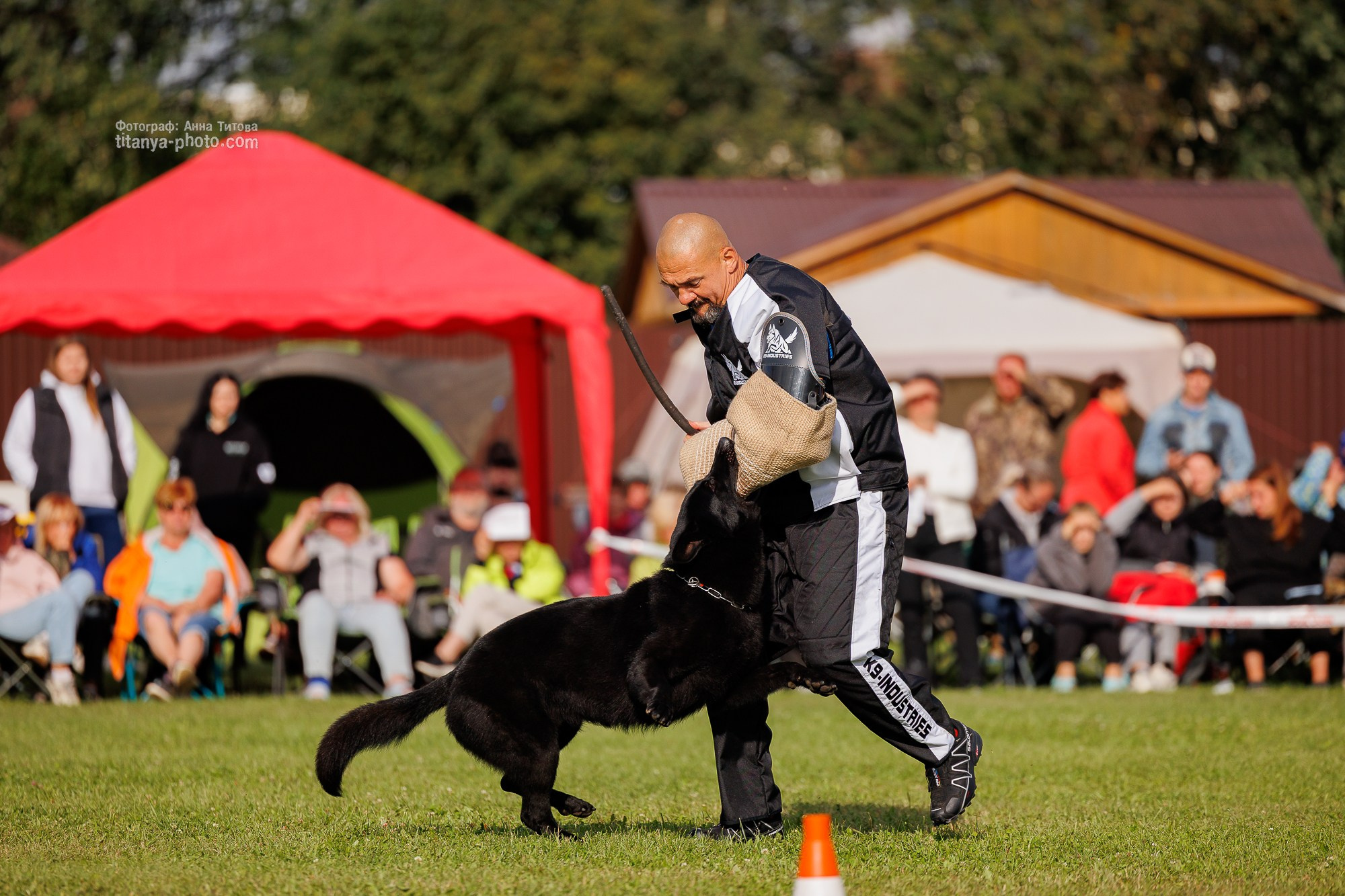 Немецкие овчарки: фото из рингов и вне ринга, мутпроба (фотографии с выставок). Фотограф собак, фотограф-анималист Аня Титова (Titanya). Москва