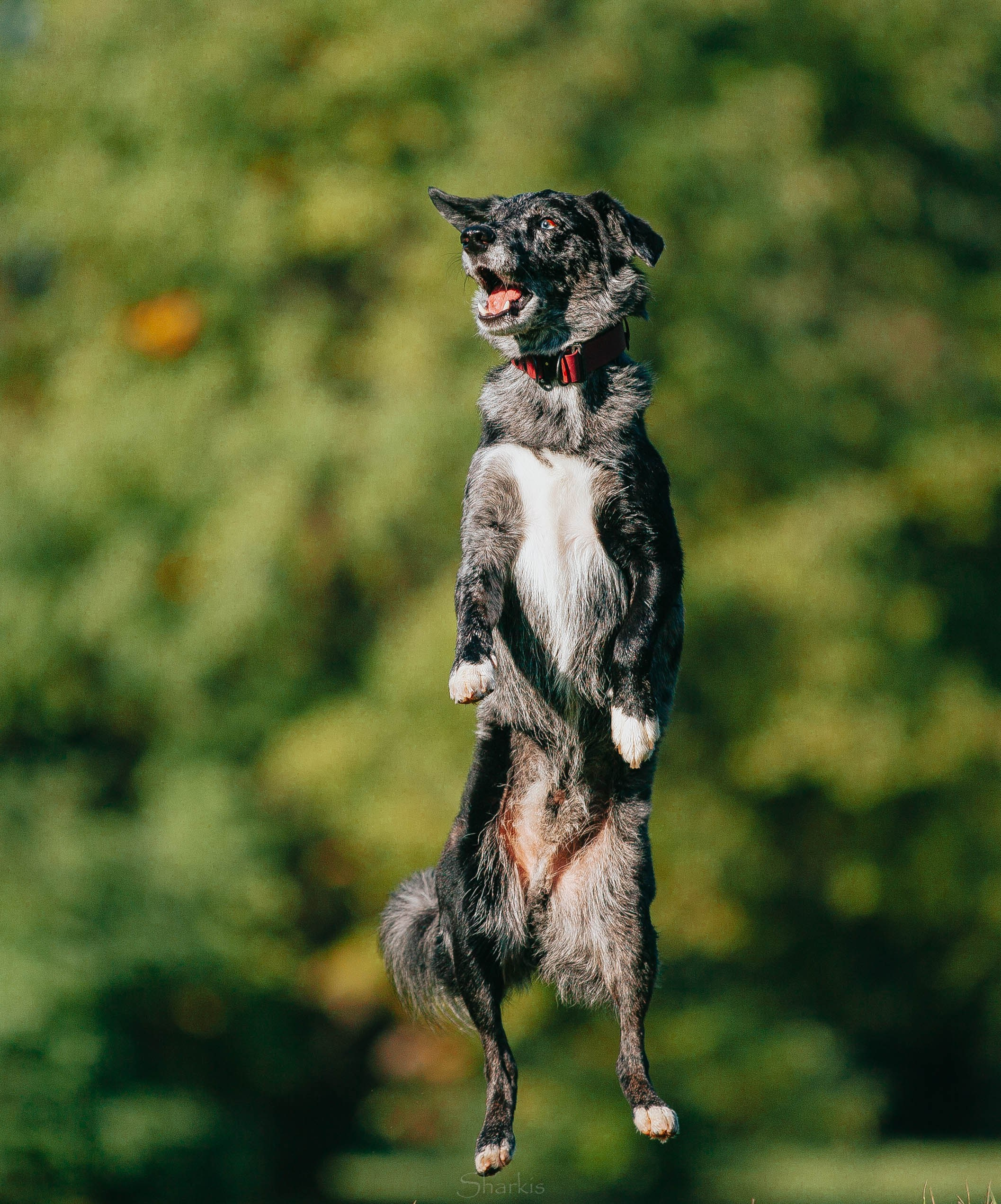 Вега и Гриша. Главная