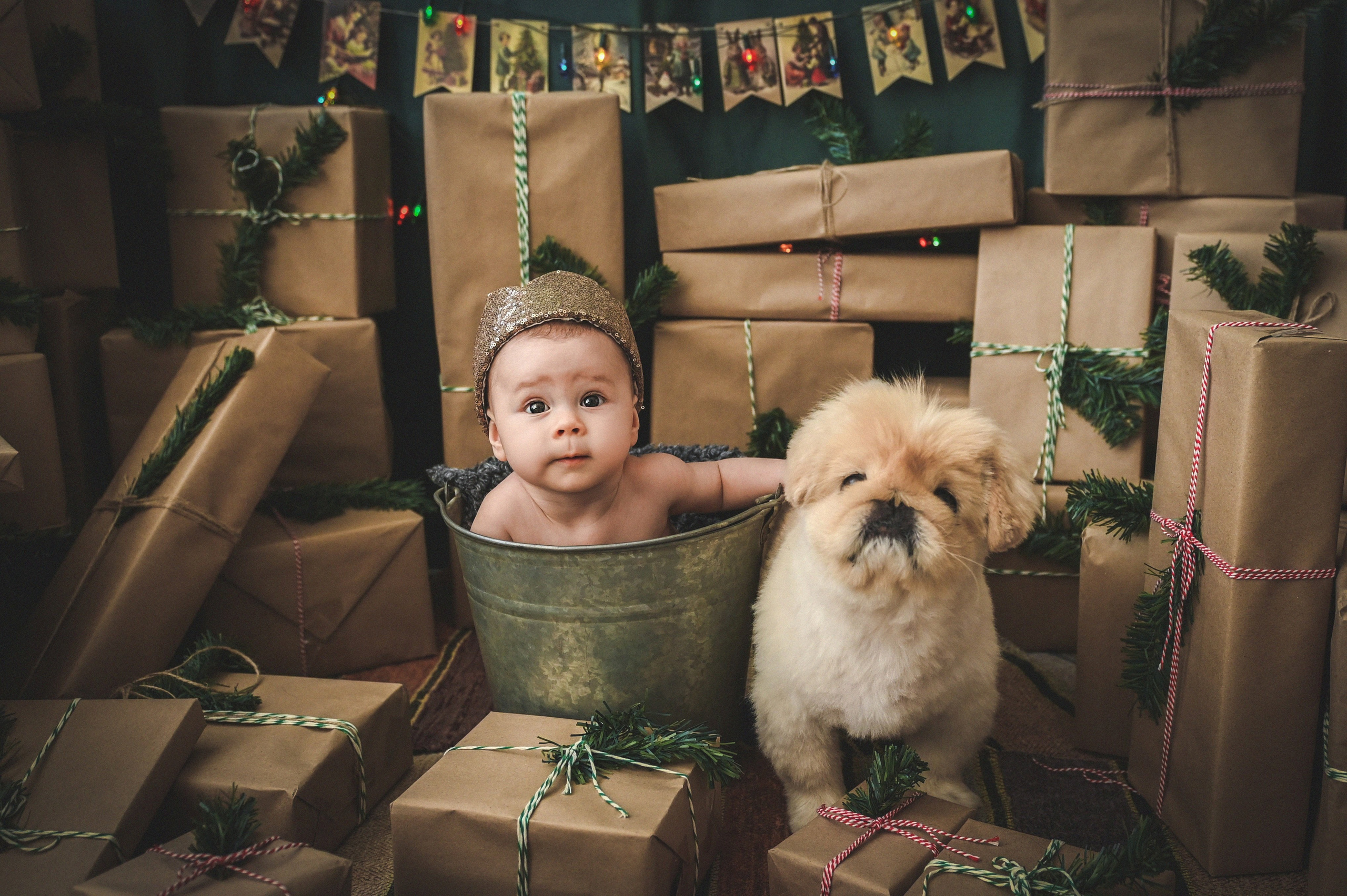 Новый год. Фотограф новорожденных и детей в Барнауле — Екатерина Шапкина