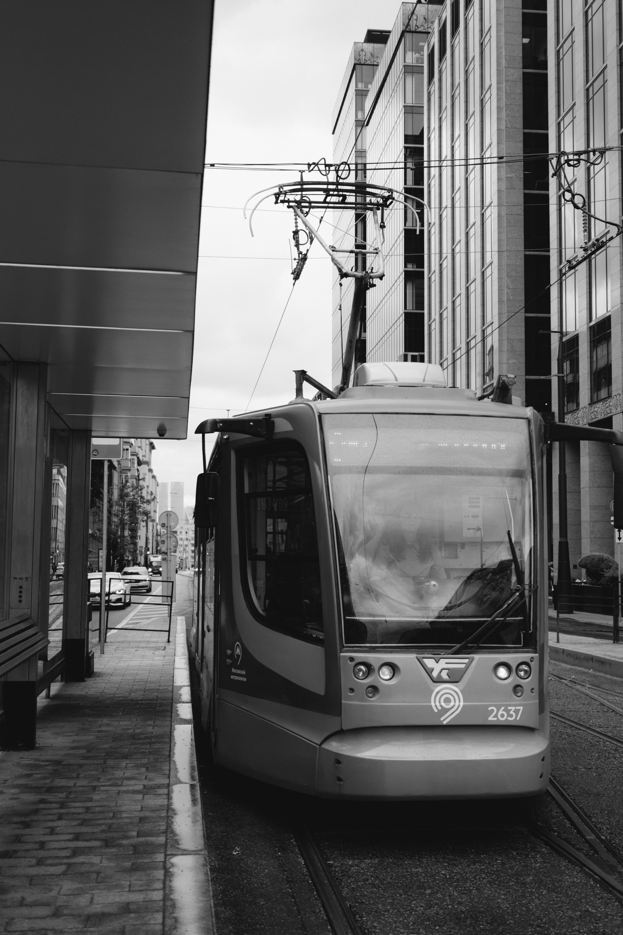 Ruslan & Ksenia. Свадебный и семейный фотограф Вероника Холод