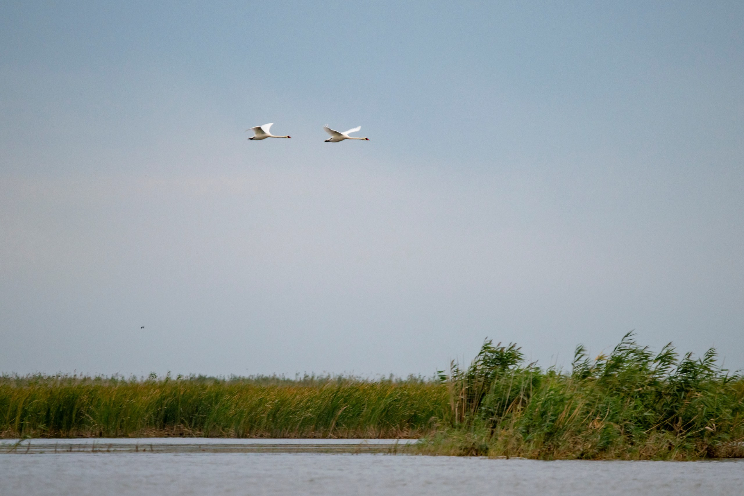 Пейзажный фотограф, Фотографии дикой природы. Foto-Zuev фотография как искусство