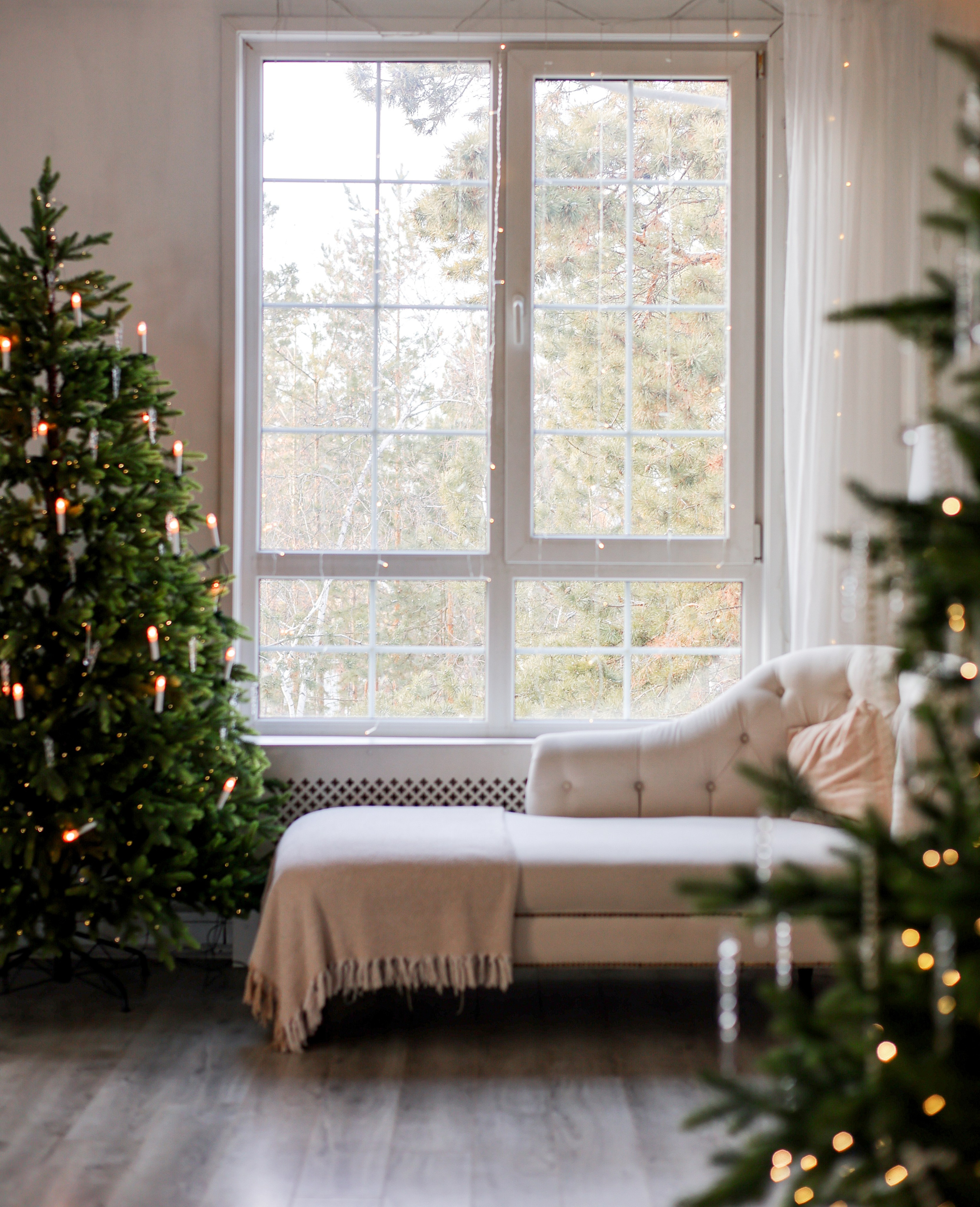 Фотодом. Фотостудия Фотодом. Якутск