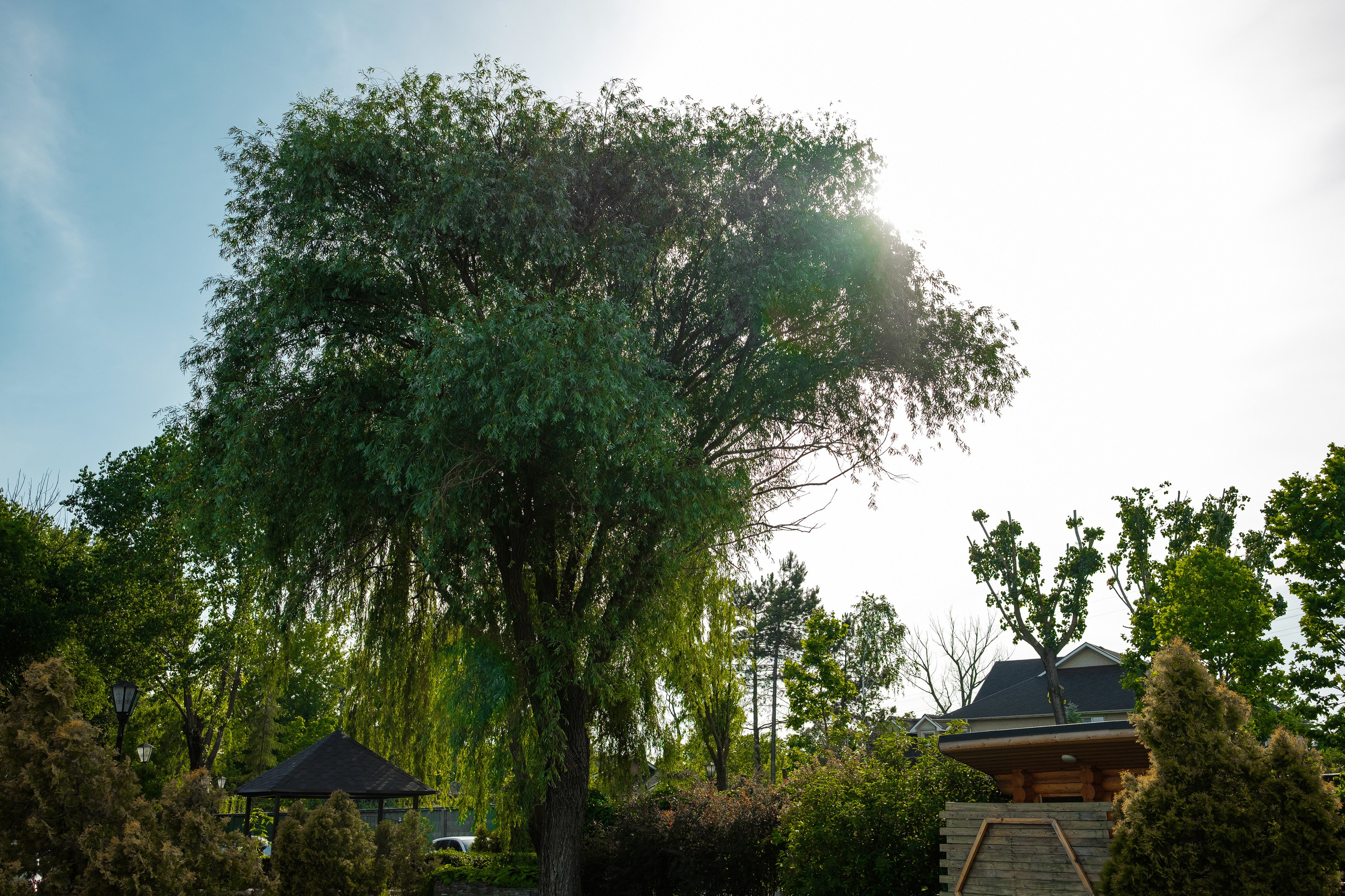 Максим и Дарья. Свадебный фотограф | репортаж | праздники | крещение