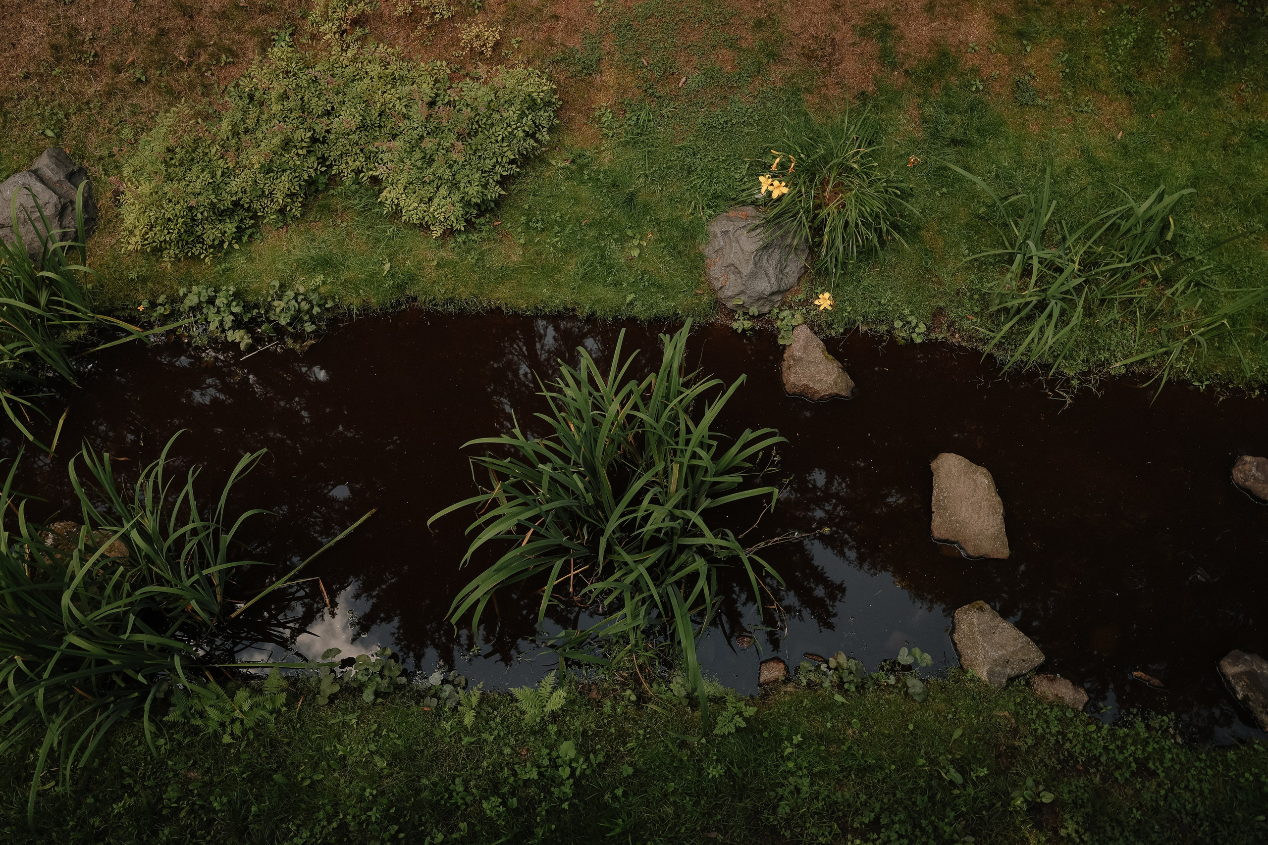 Средиземное море… Атлантический океан. Свадебный и семейный Фотограф Денис Кошель