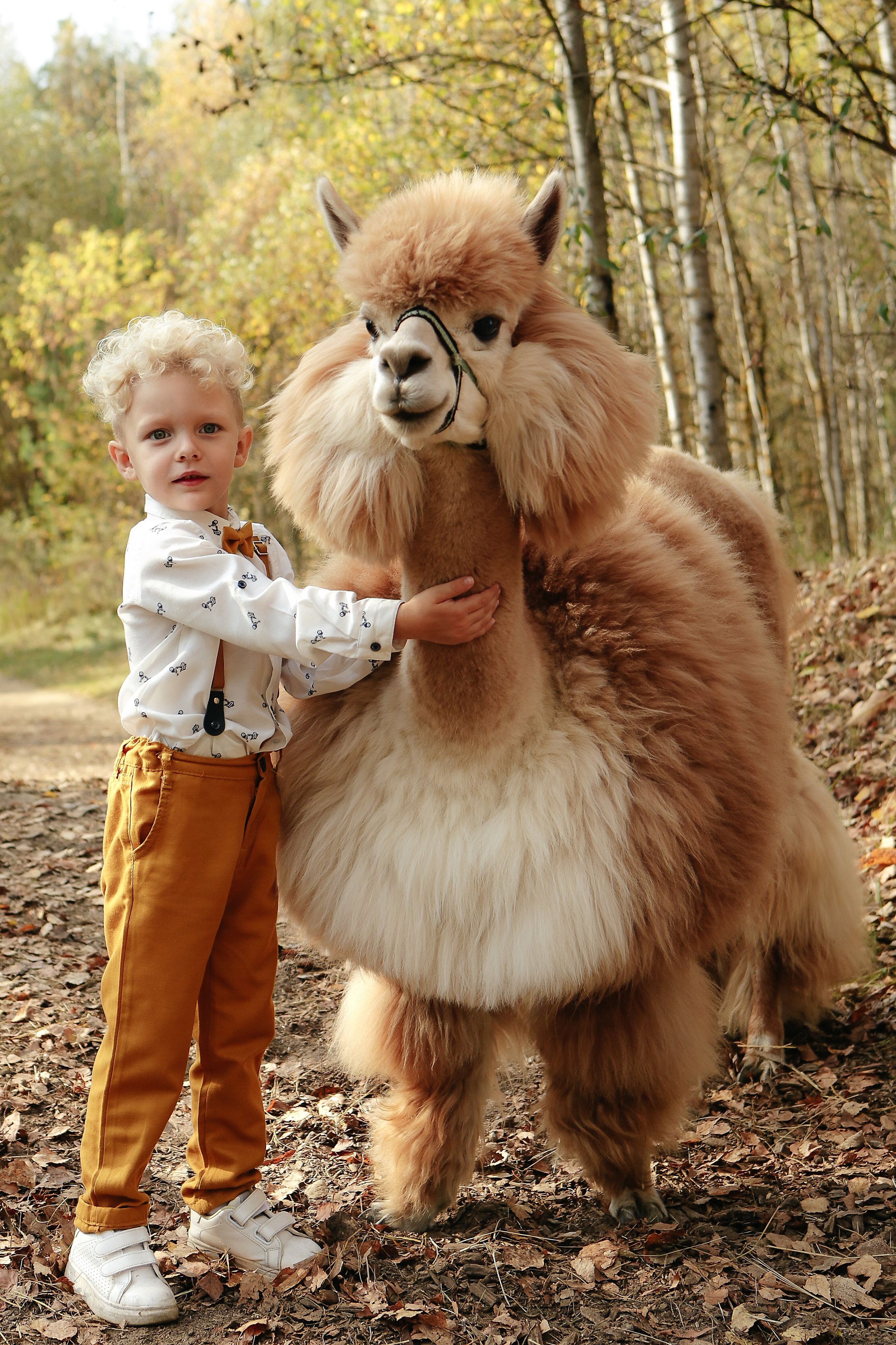 Альпаки. Семейный и детский фотограф в Москве Александра Мак