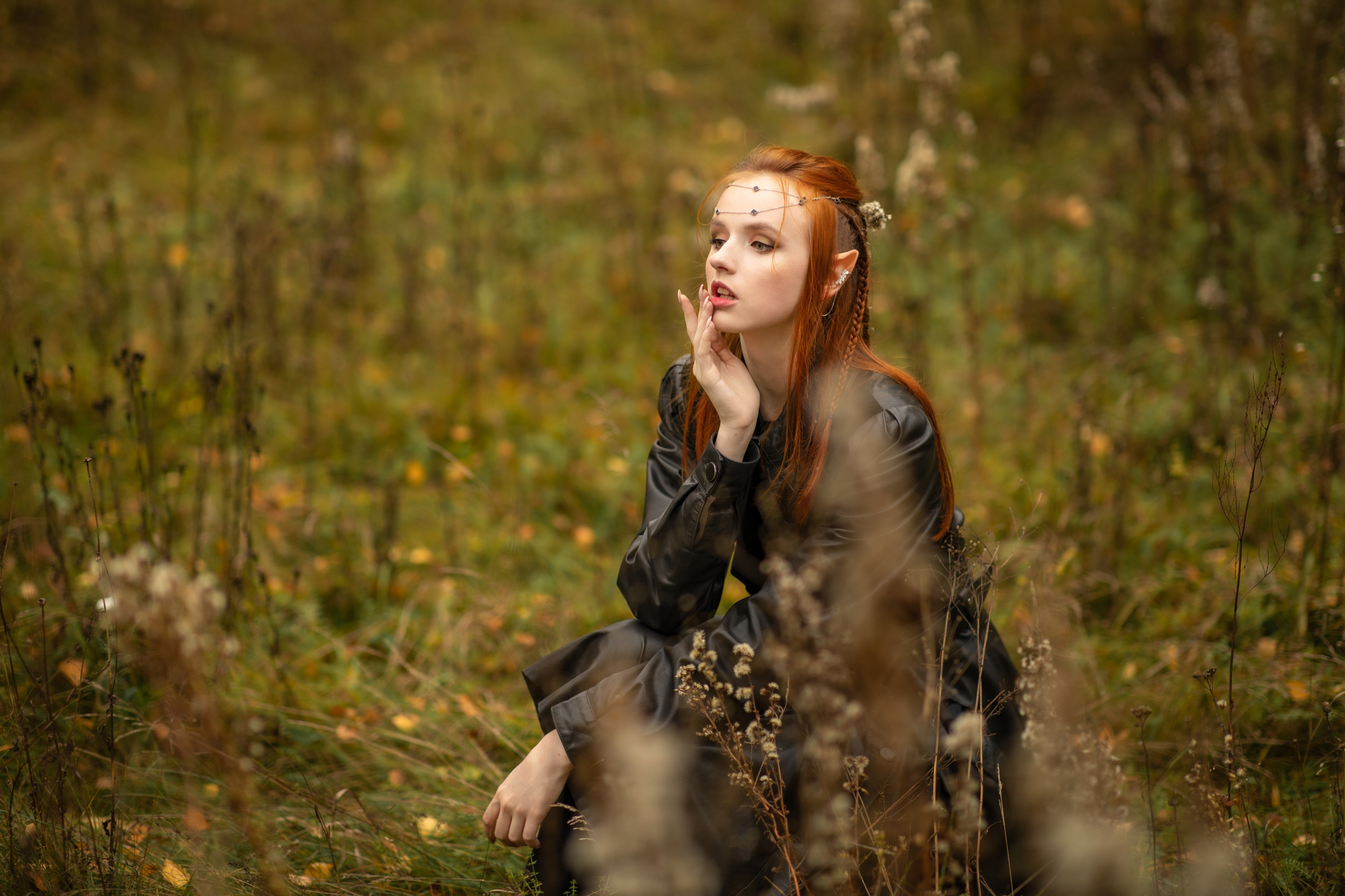 Волшебный лес