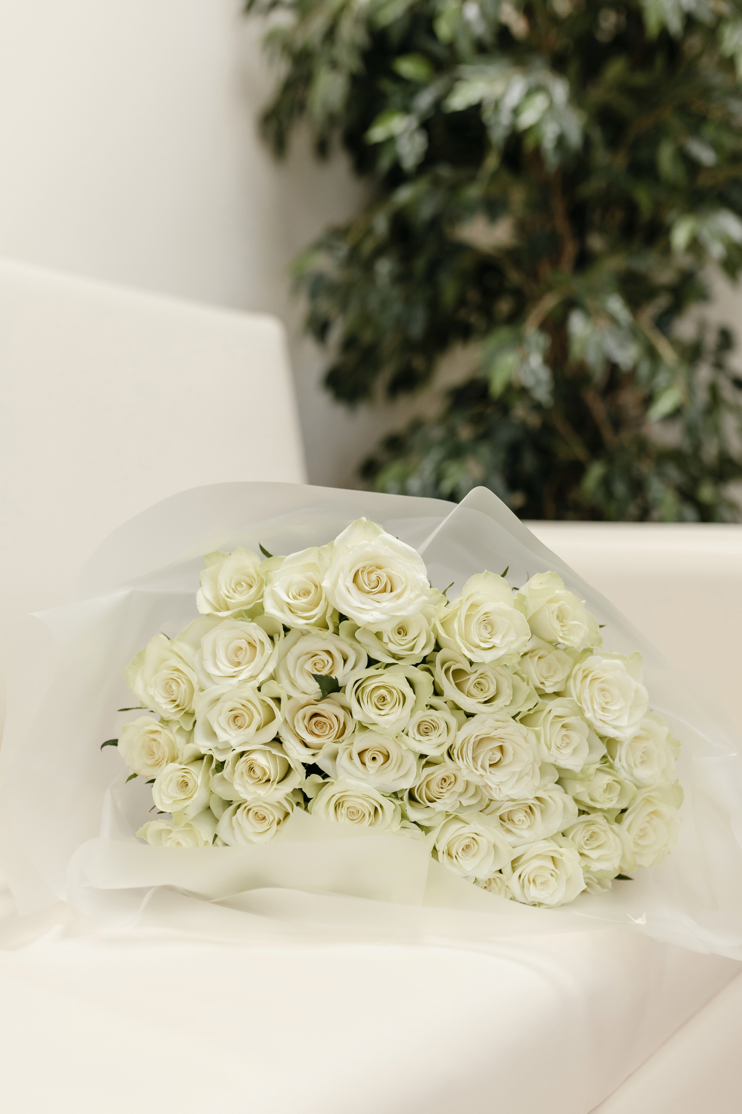 Фотограф на выписку из роддома в Краснодаре, выписка из Екатерининского роддома, фотограф Яна Морева. Семейный фотограф в Краснодаре Яна Морева