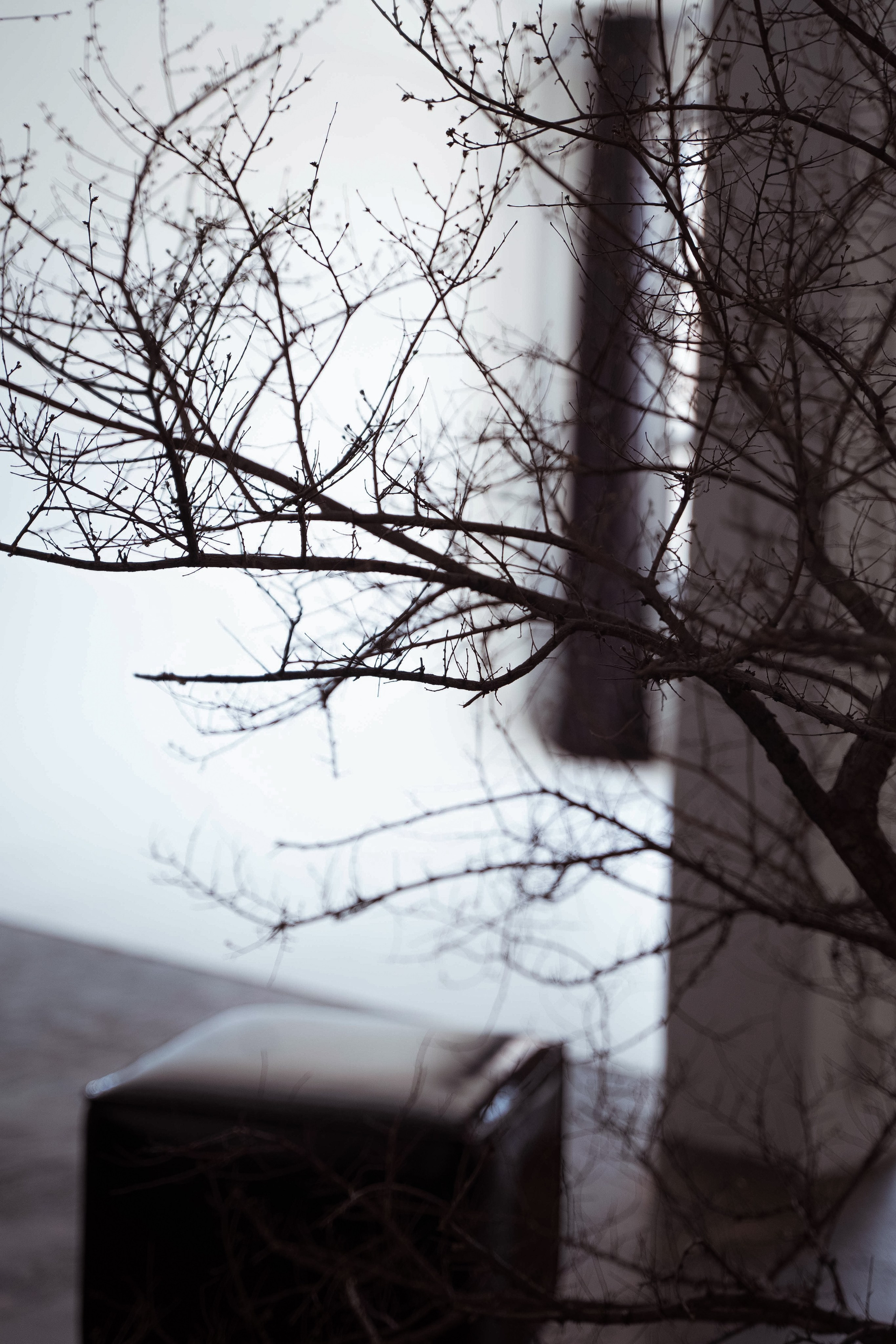 Грэй (студия Спутник). Фотограф г. Хабаровск. Семейные и индивидуальные съёмки