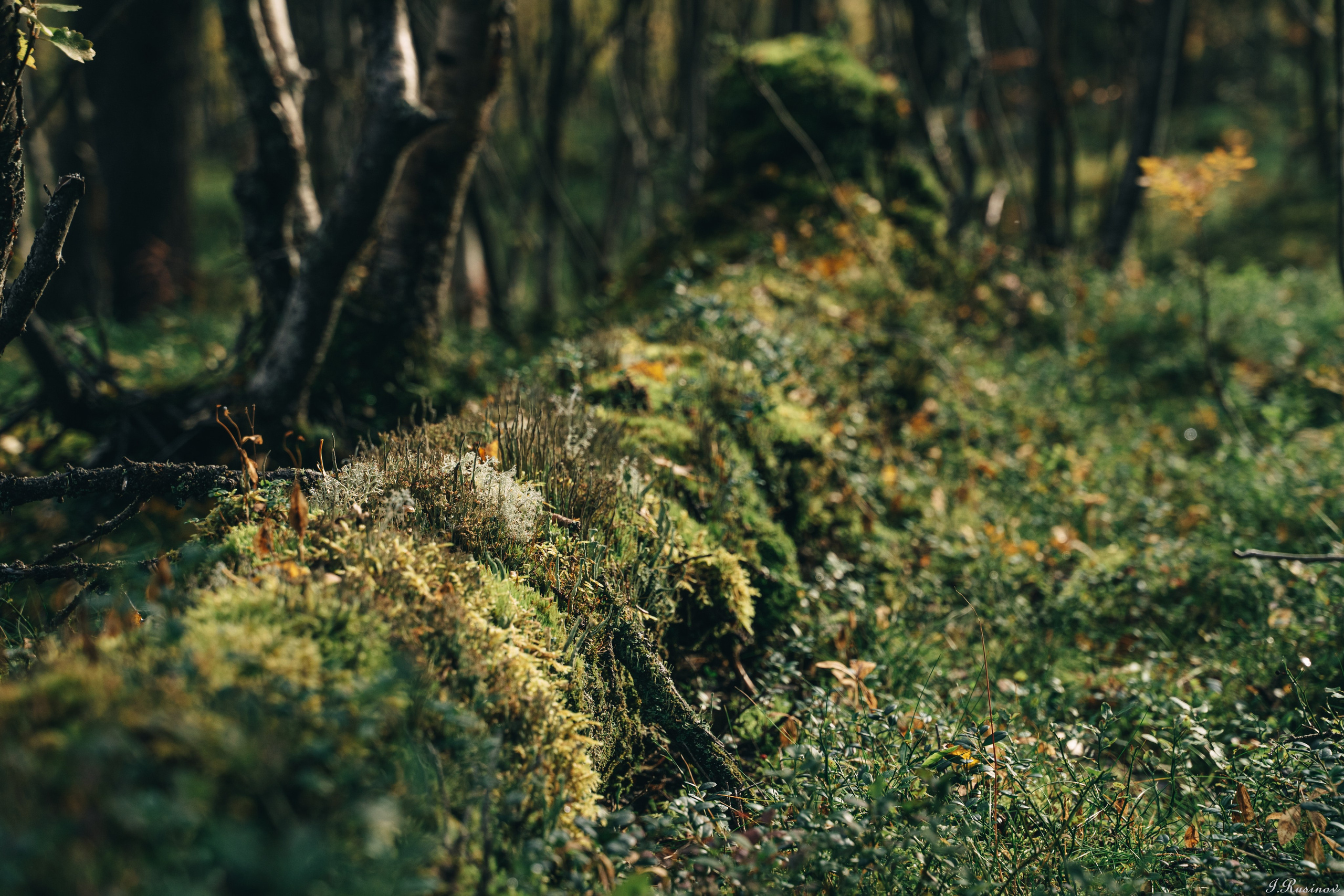 ХИБИНЫ 2021 г. Event фотограф Степанова Александра