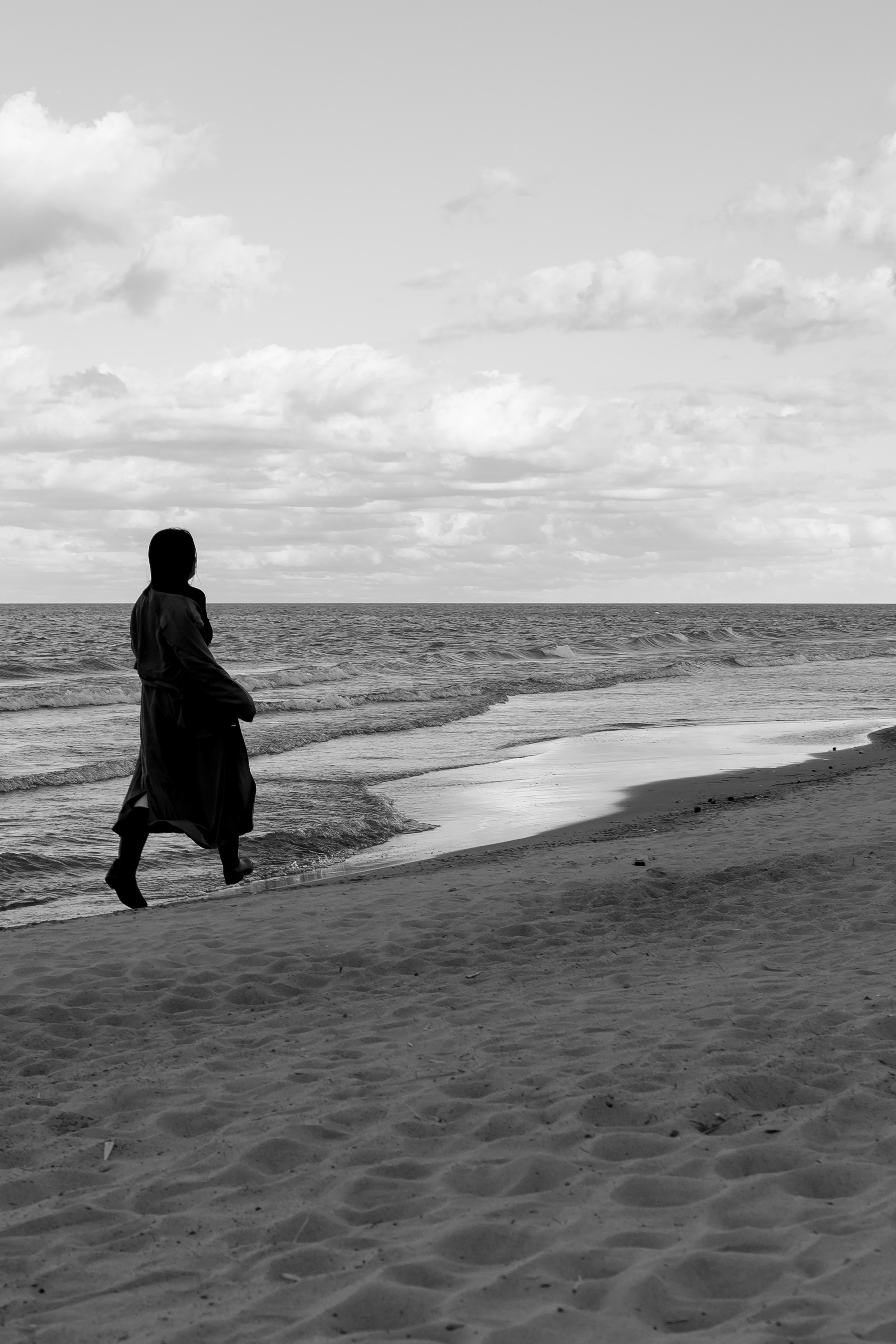 Розы. Профессиональный фотограф, Санкт-Петербург — Виктория Богомолова