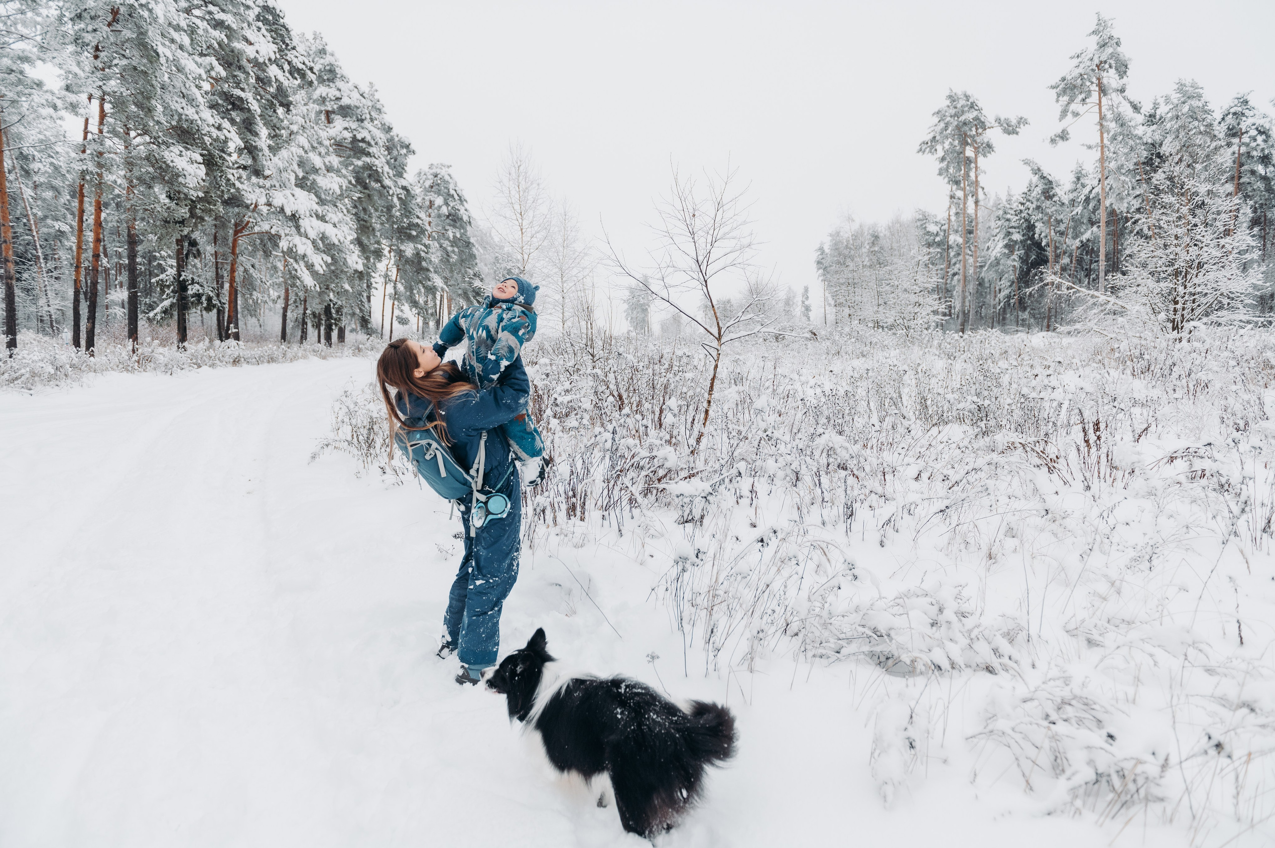 Снежная прогулка. Главная