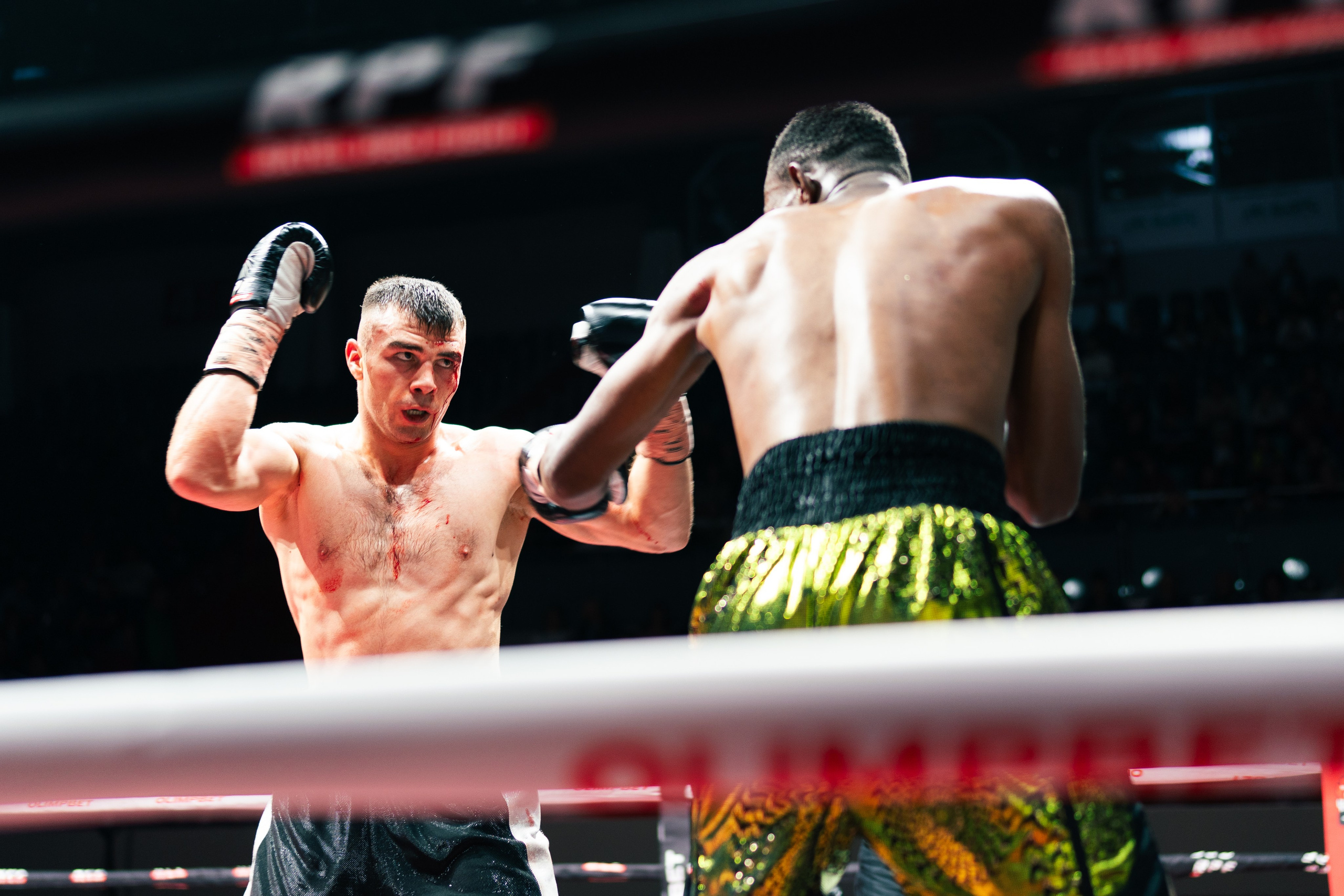 Бокс. Фотограф в СПБ Алмаз Камаев