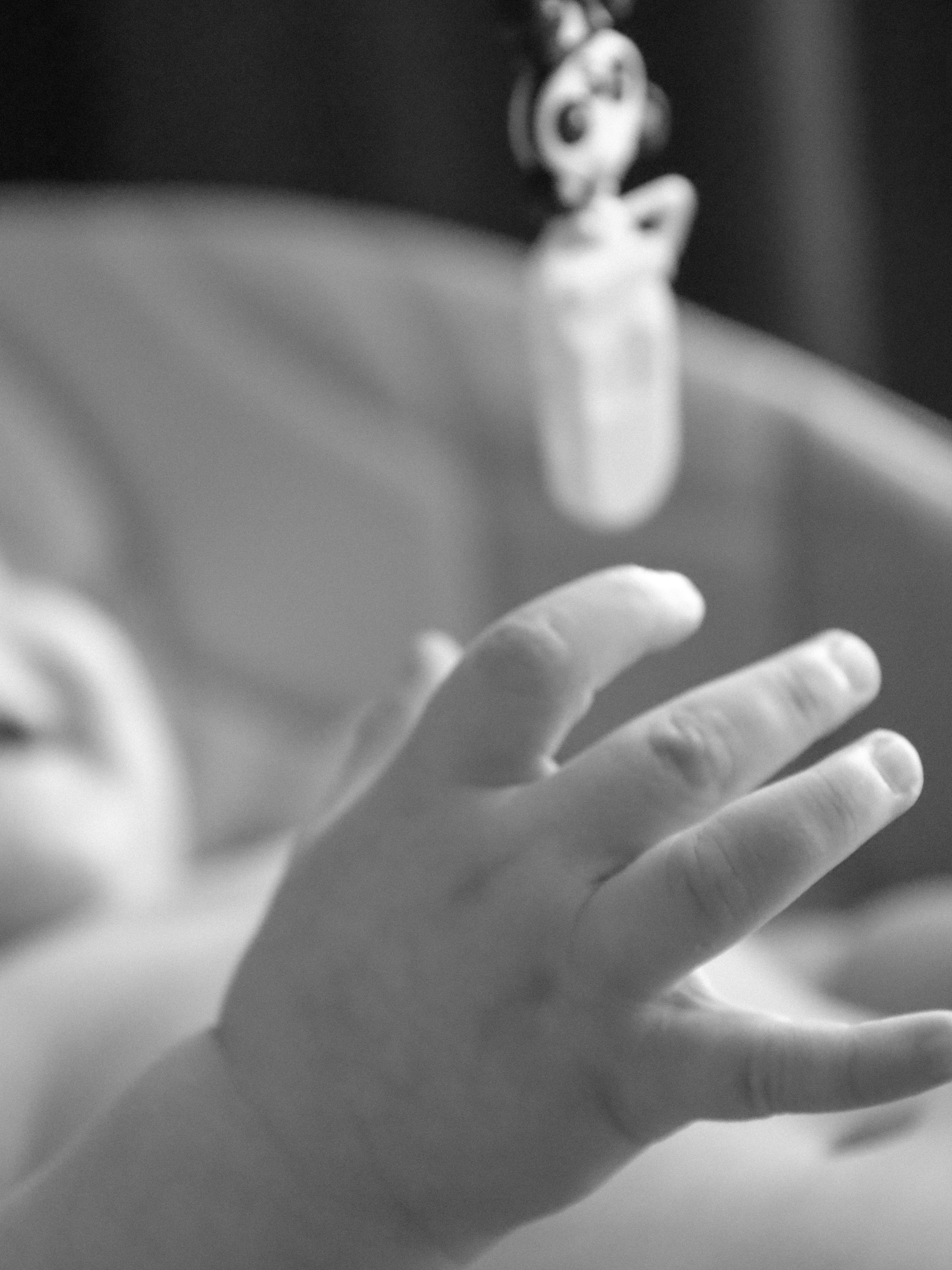 Портфолио. Фотограф Елена Попова в Барнауле