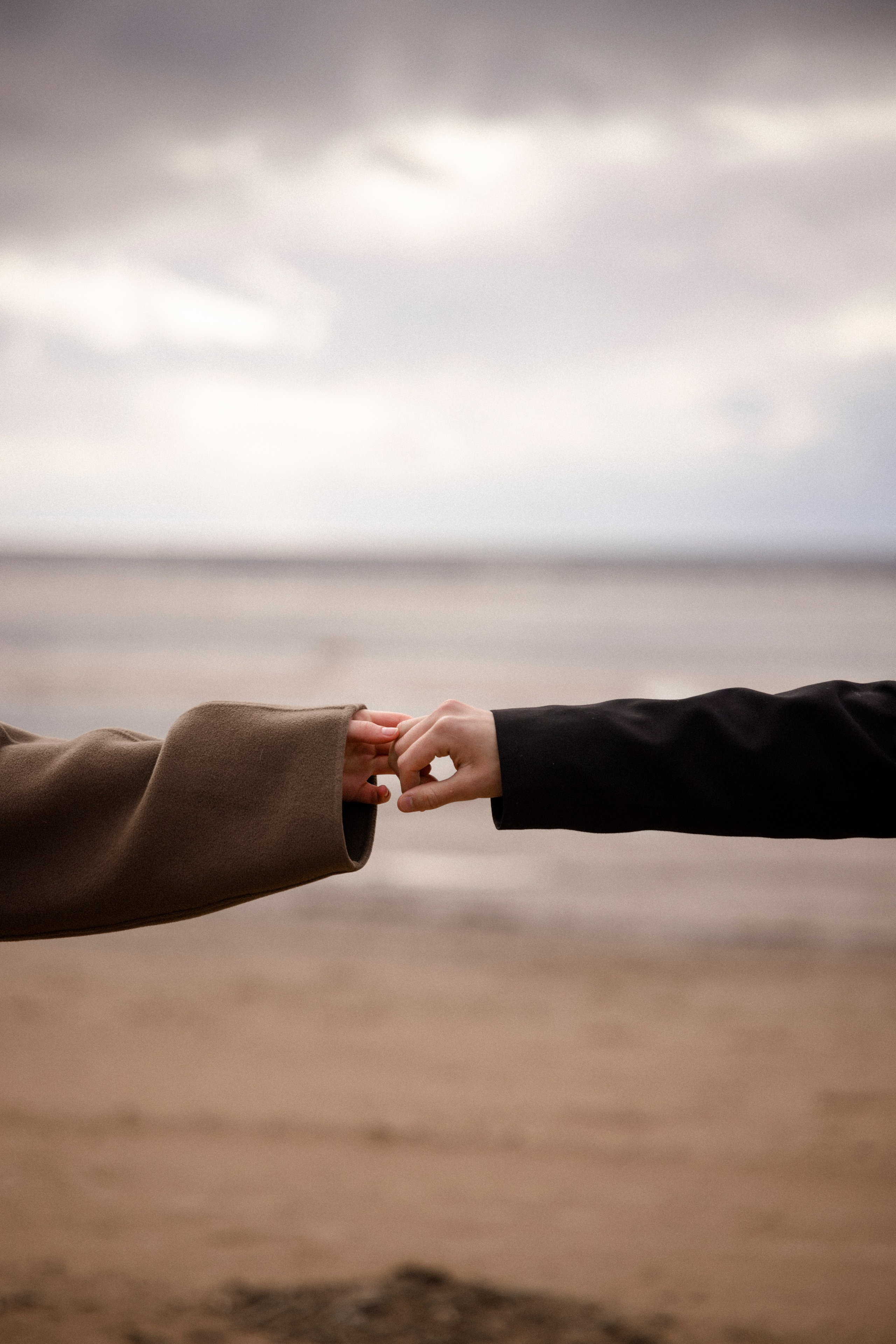 Алина и Роман. Свадебный и портретный фотограф