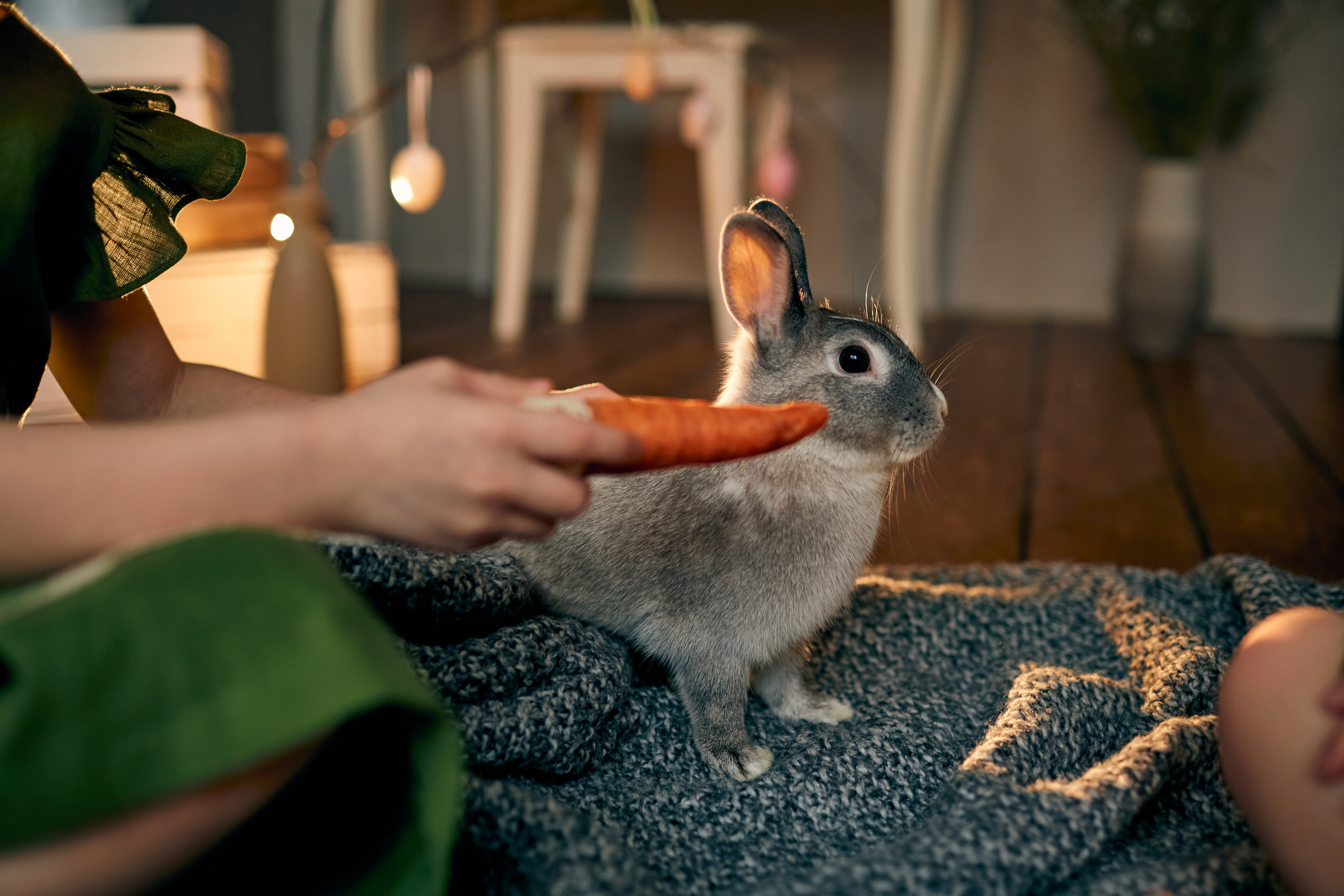 В гостях у пасхального кролика. Фотограф Москва|Ясенево Яна Новокрещенных
