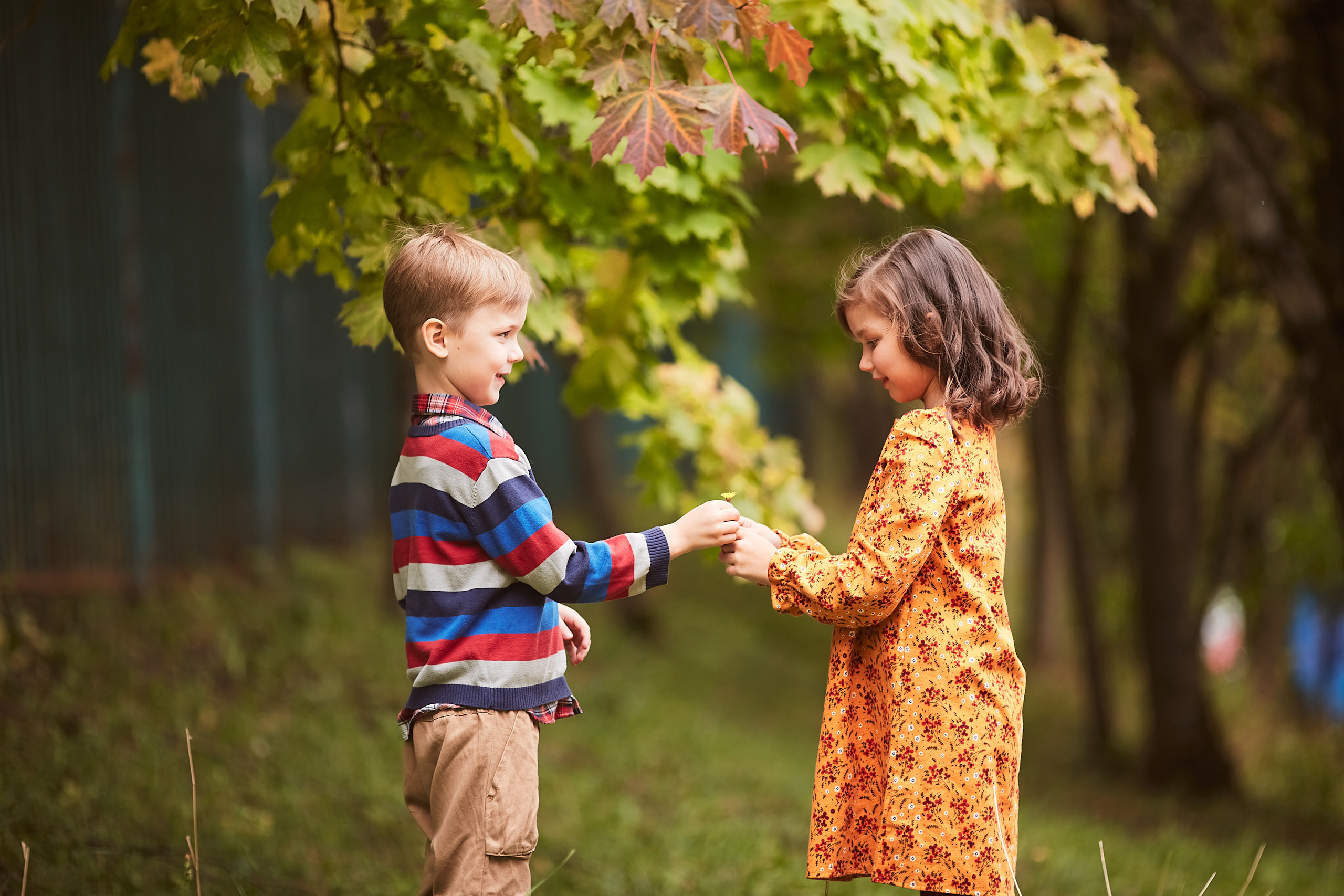 Тыковки. Фотограф Москва|Ясенево Яна Новокрещенных