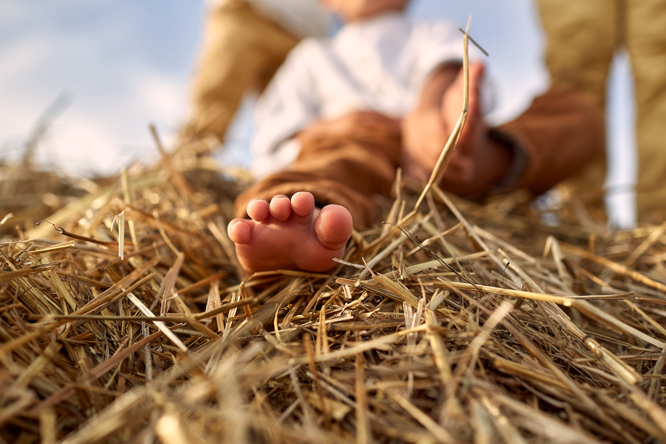 Безмятежность в поле. Фотограф Москва|Ясенево Яна Новокрещенных