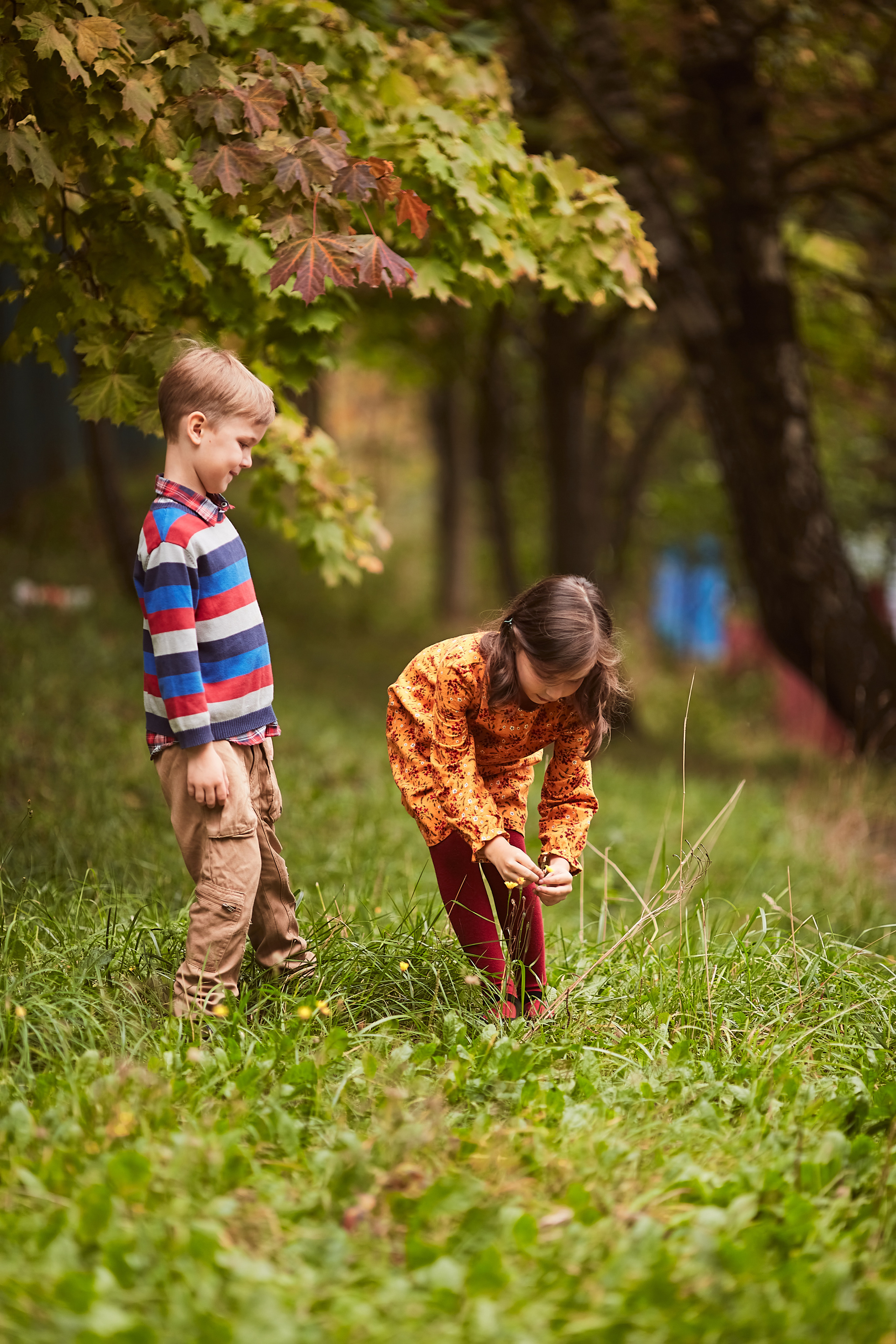 Тыковки. Фотограф Москва|Ясенево Яна Новокрещенных