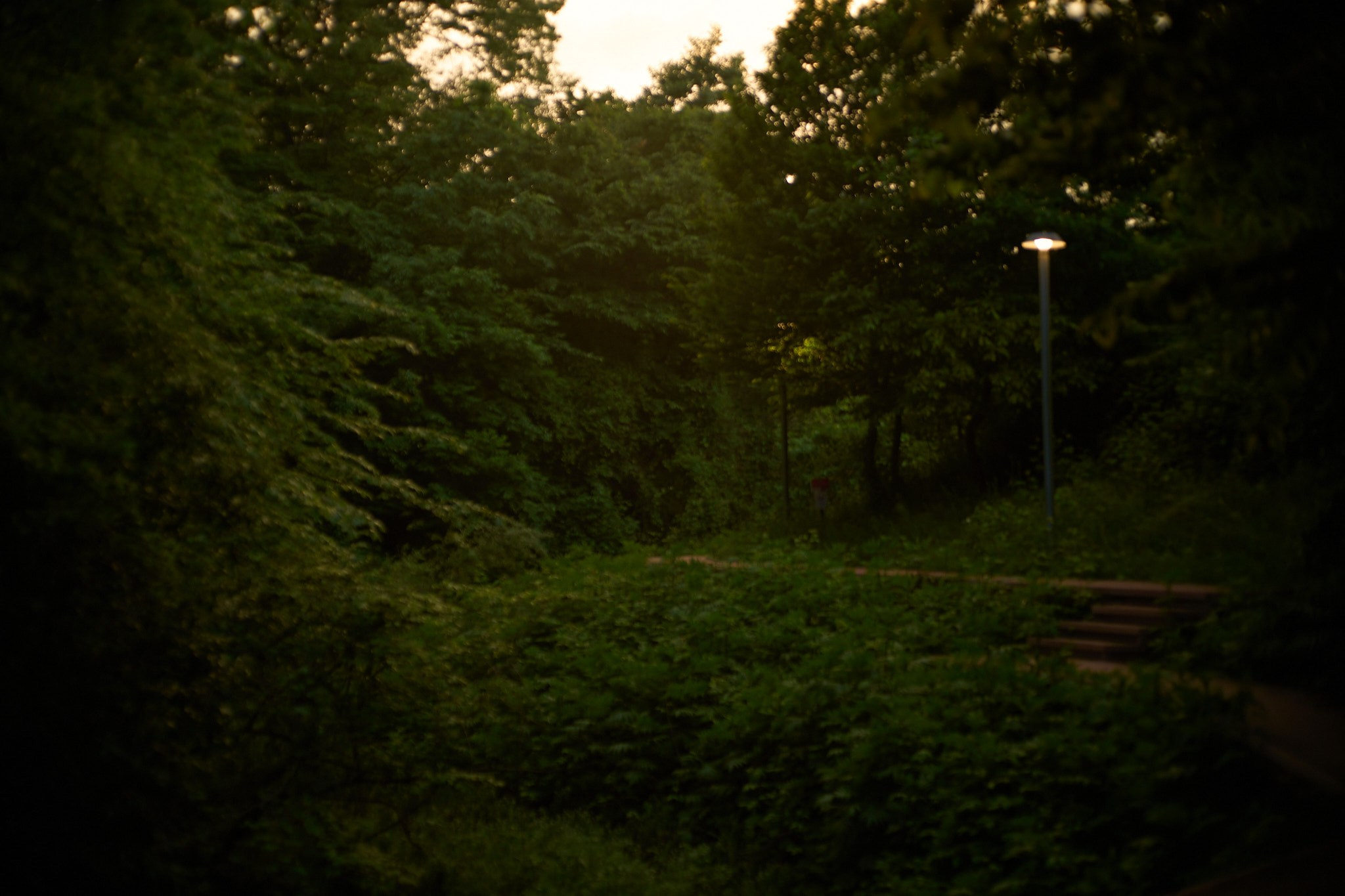 Баку, май 2025. Фотограф, Римма Невинская