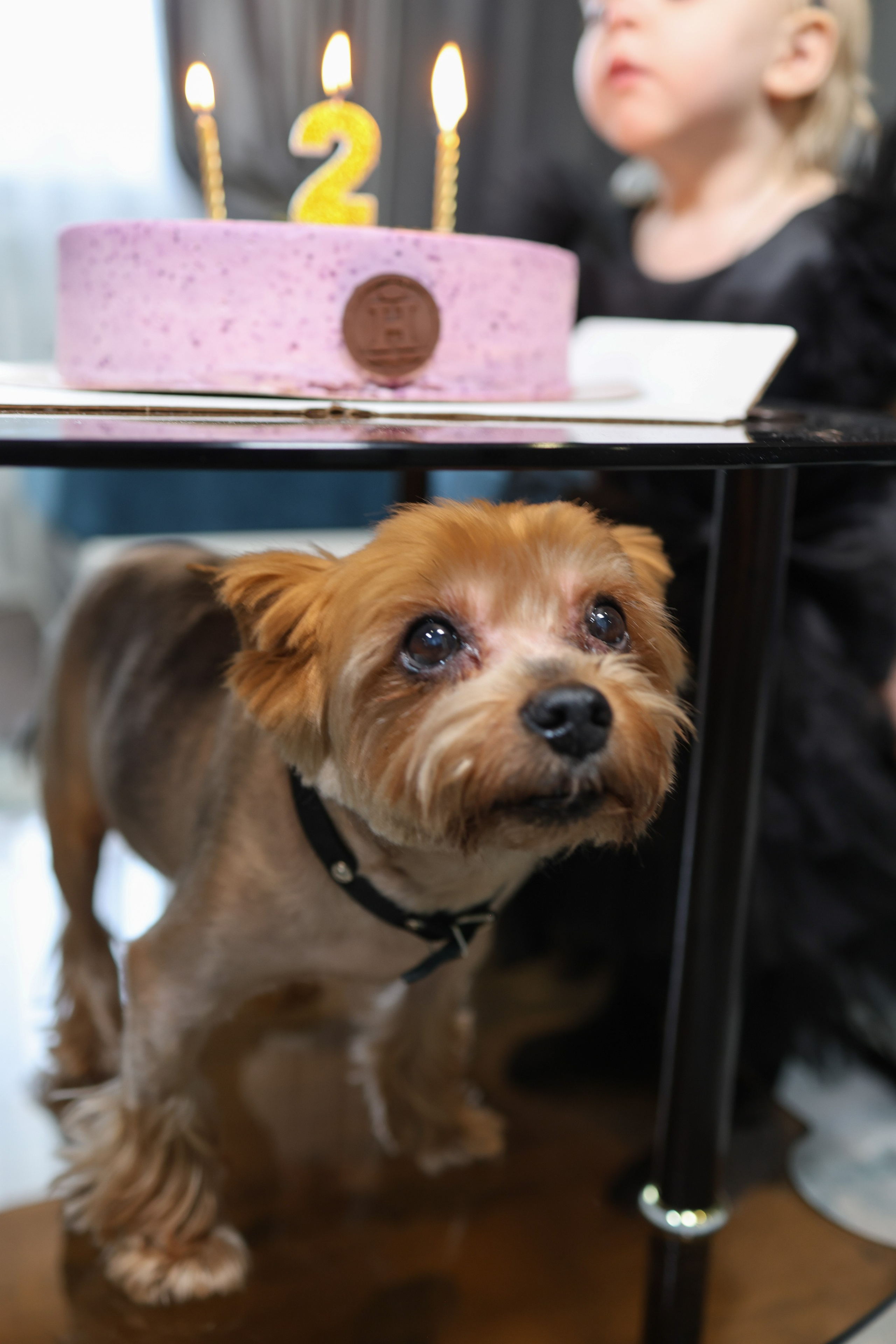 Два года двум замечательным малышам. Фотограф в Липецке Ирина Козлова