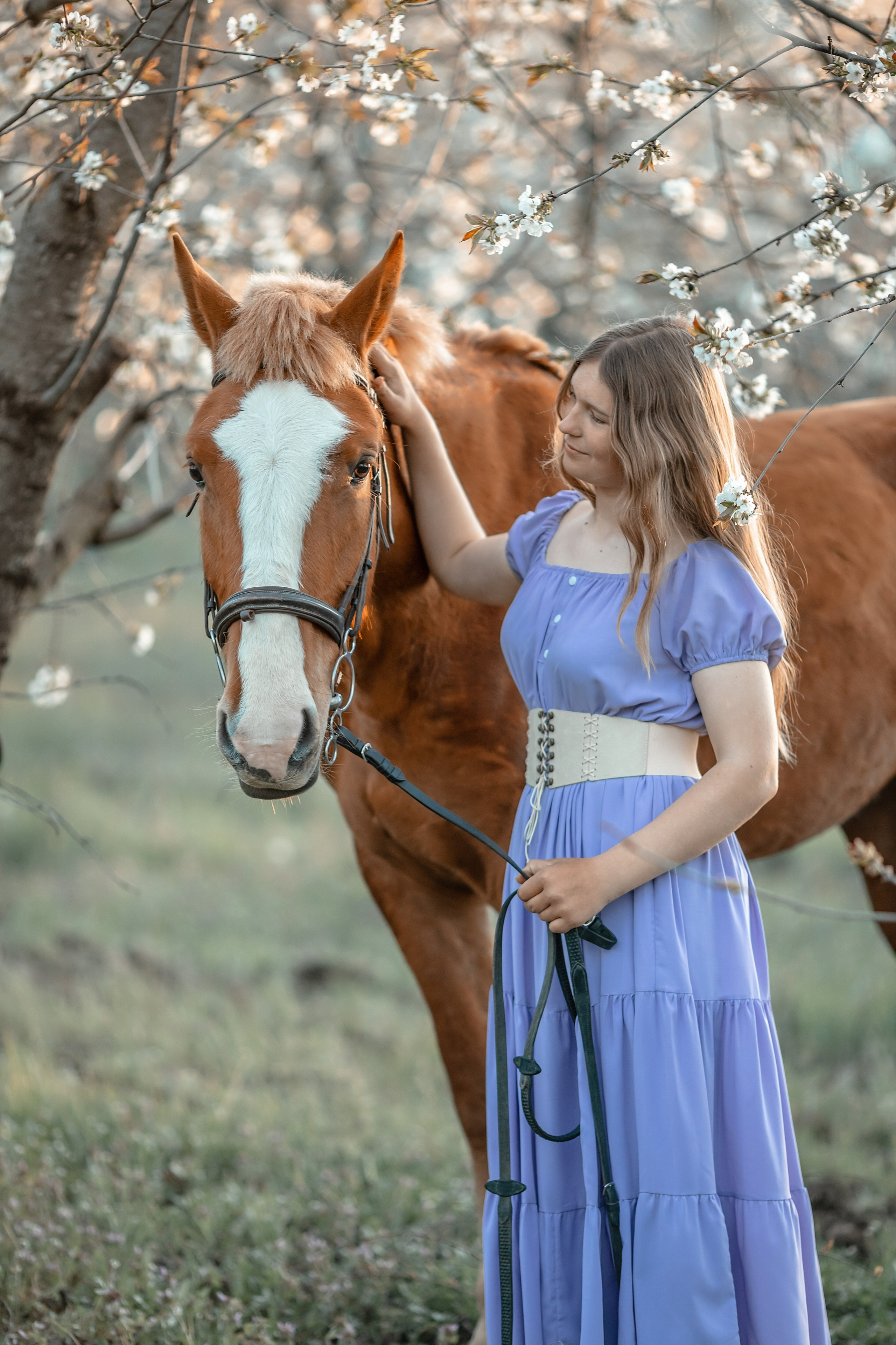 Лошади. Художественный фотограф Анапа Александра Долбикова