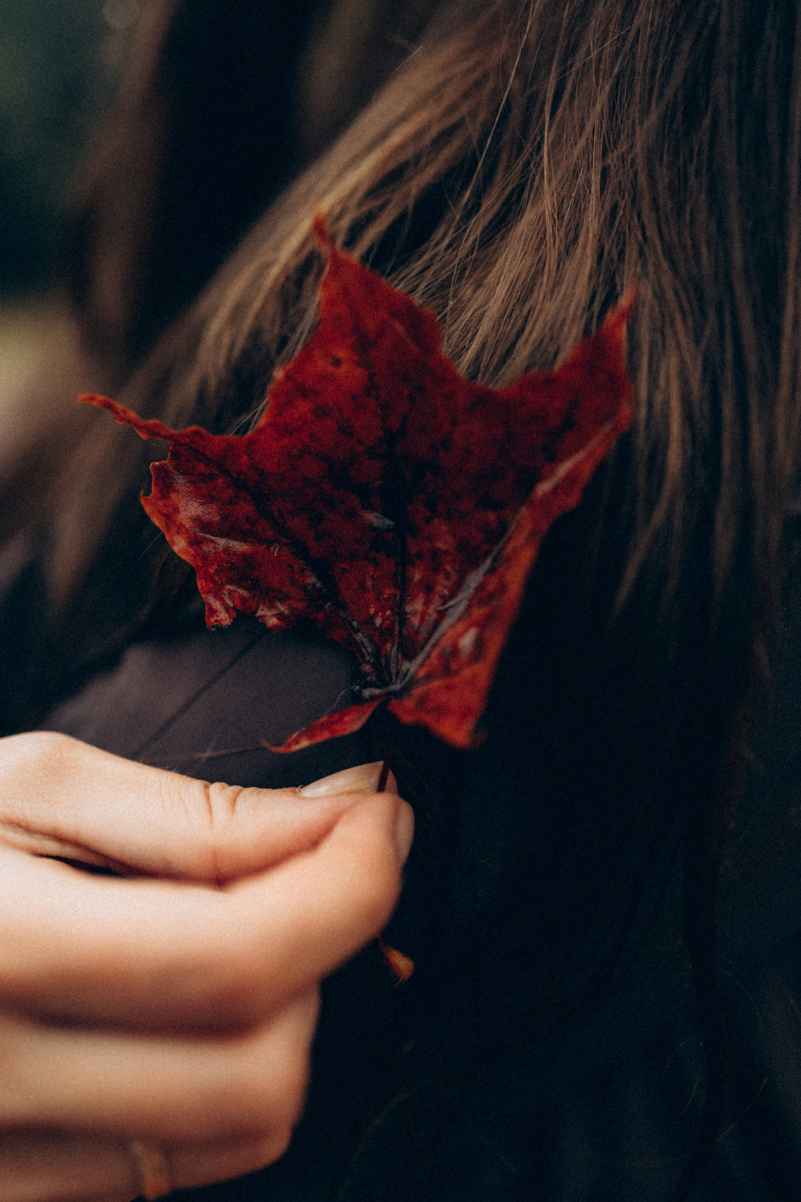 Анфиса & Нисма. Фотограф НОГИНСК, Москва, Анастасия Белая