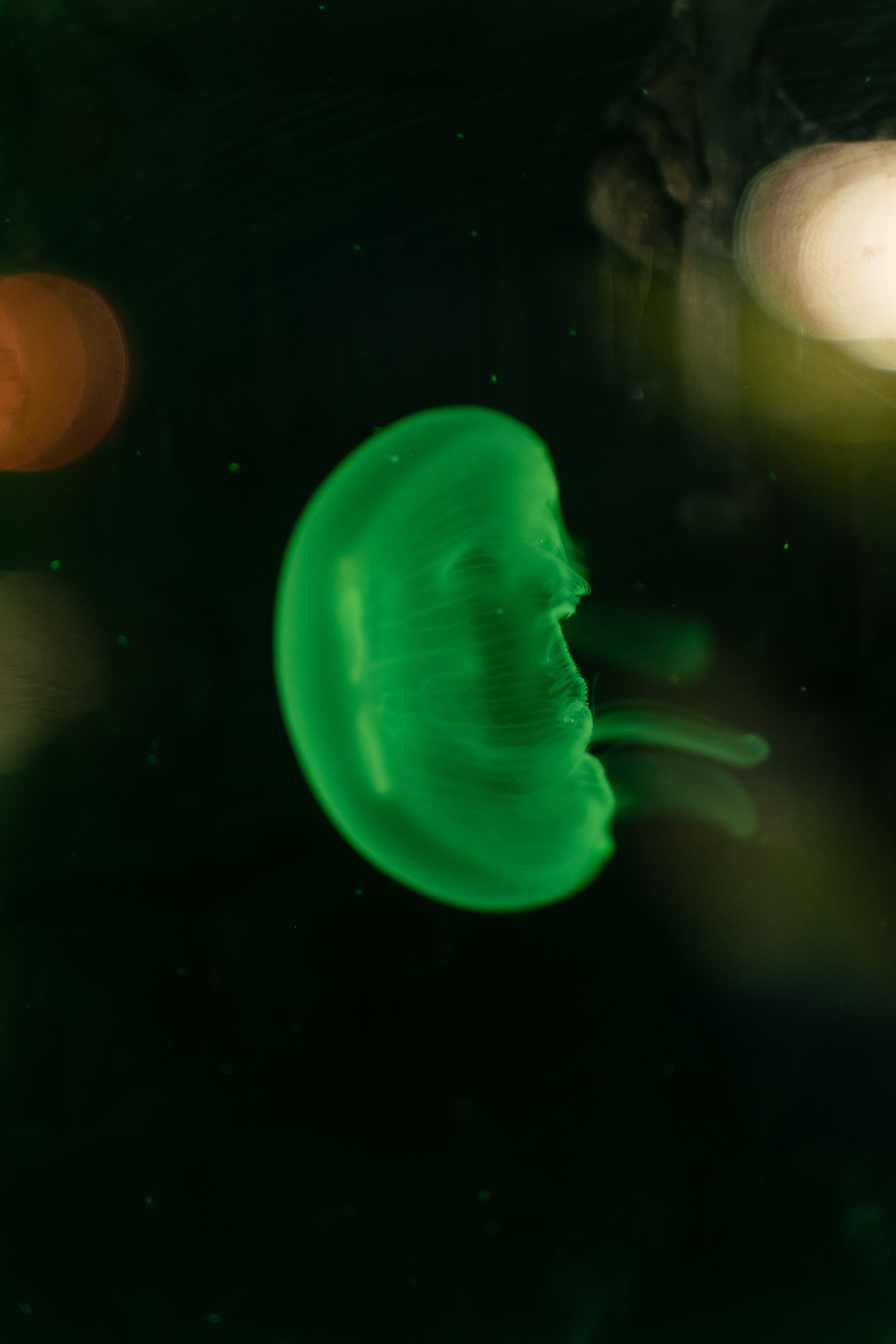 Москва 2030. Парк Горького и Музеон. Лето 27.08.24