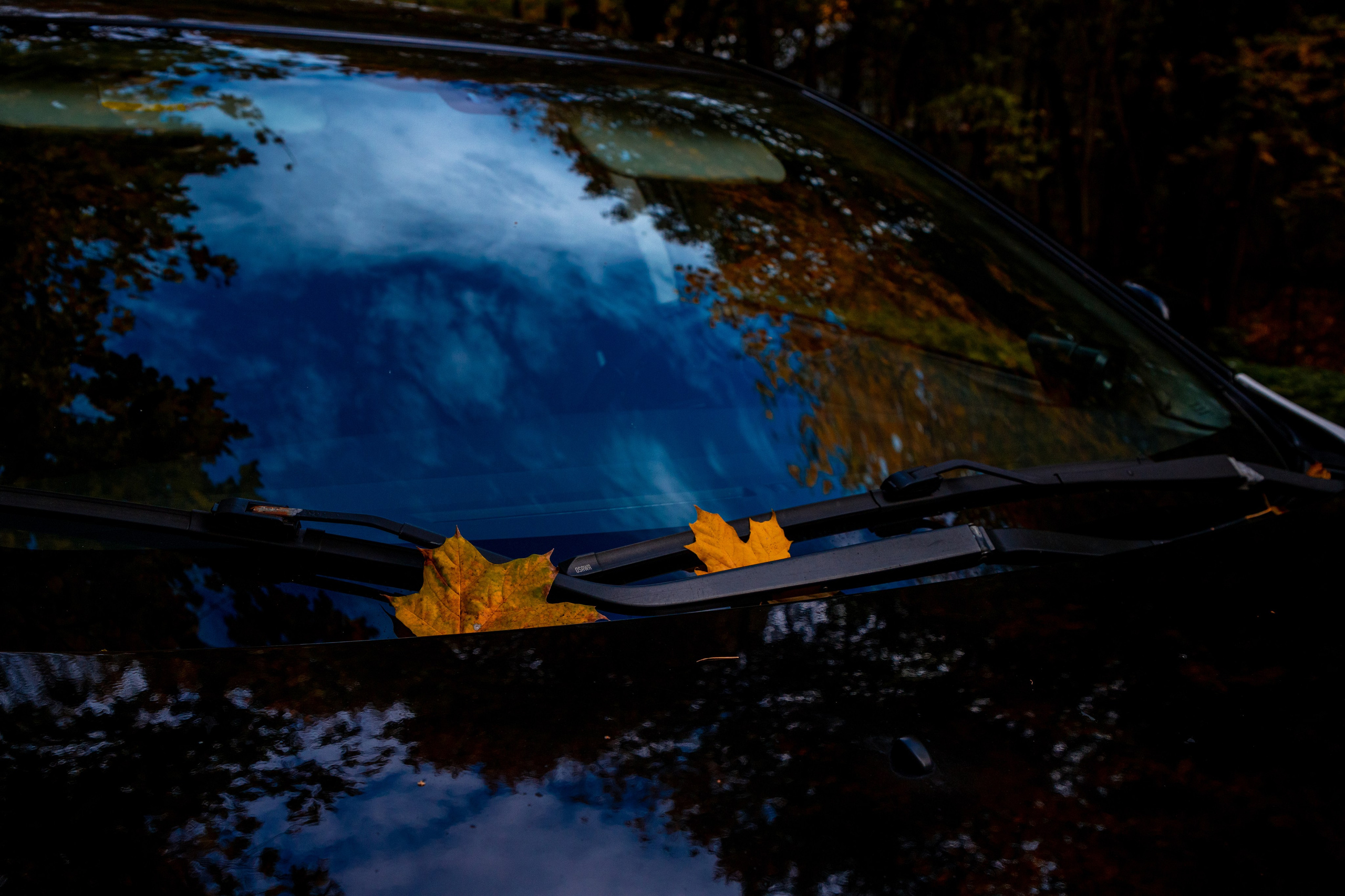 Lancer. Фотограф Анастасия Сонина