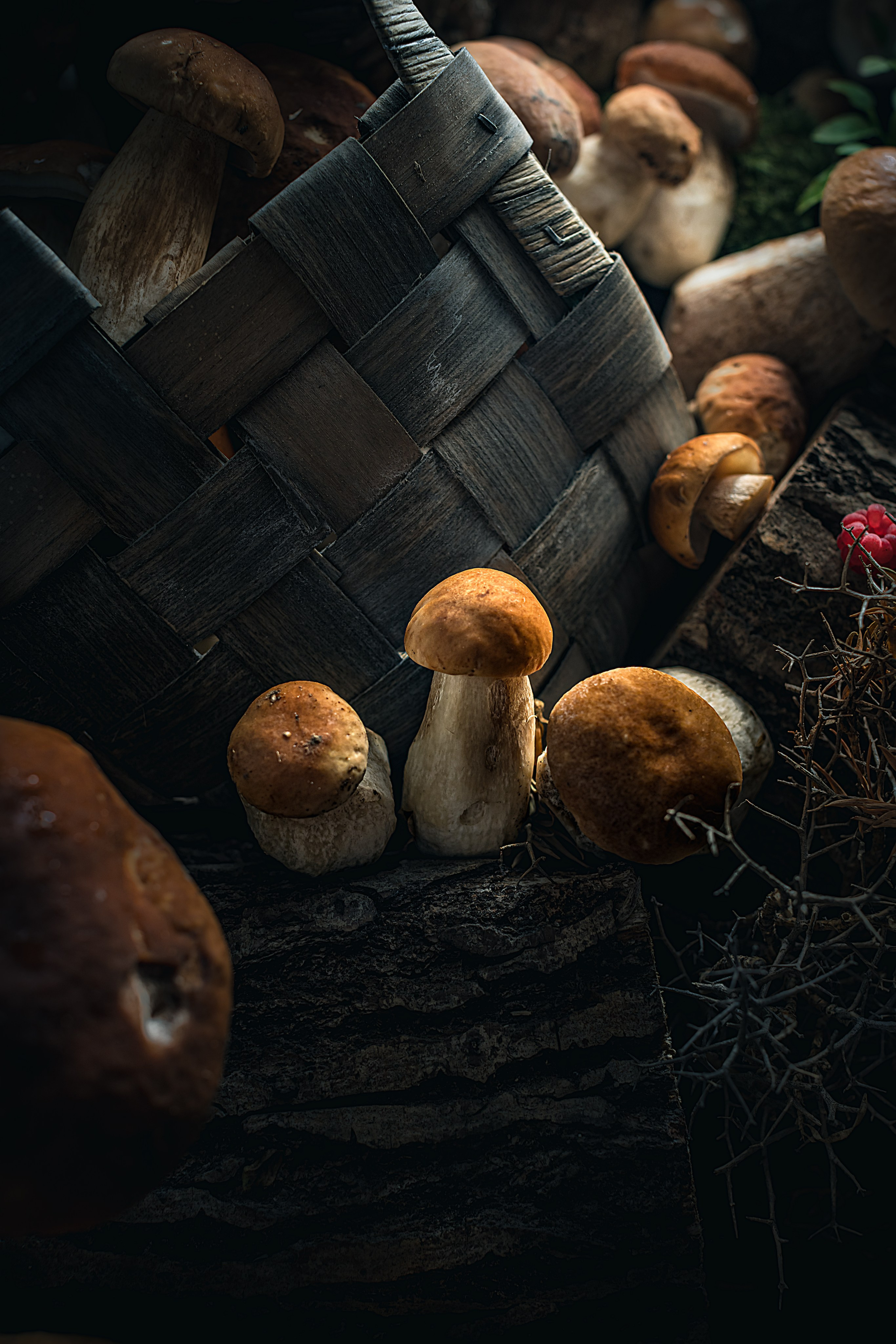 Mushrooms stories «Поляна белых». Foodie Stories (гастрономические истории) рекламная фуд-фотосъёмка, Москва