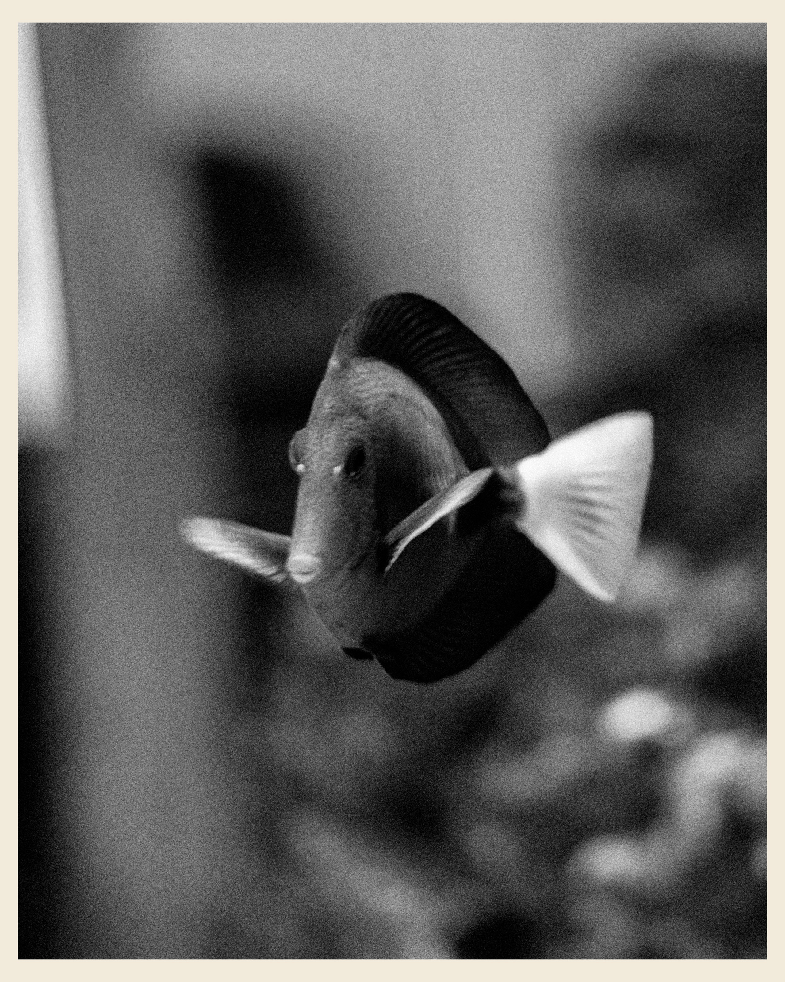 AILAND x VANO. Ivan Petrov photographer