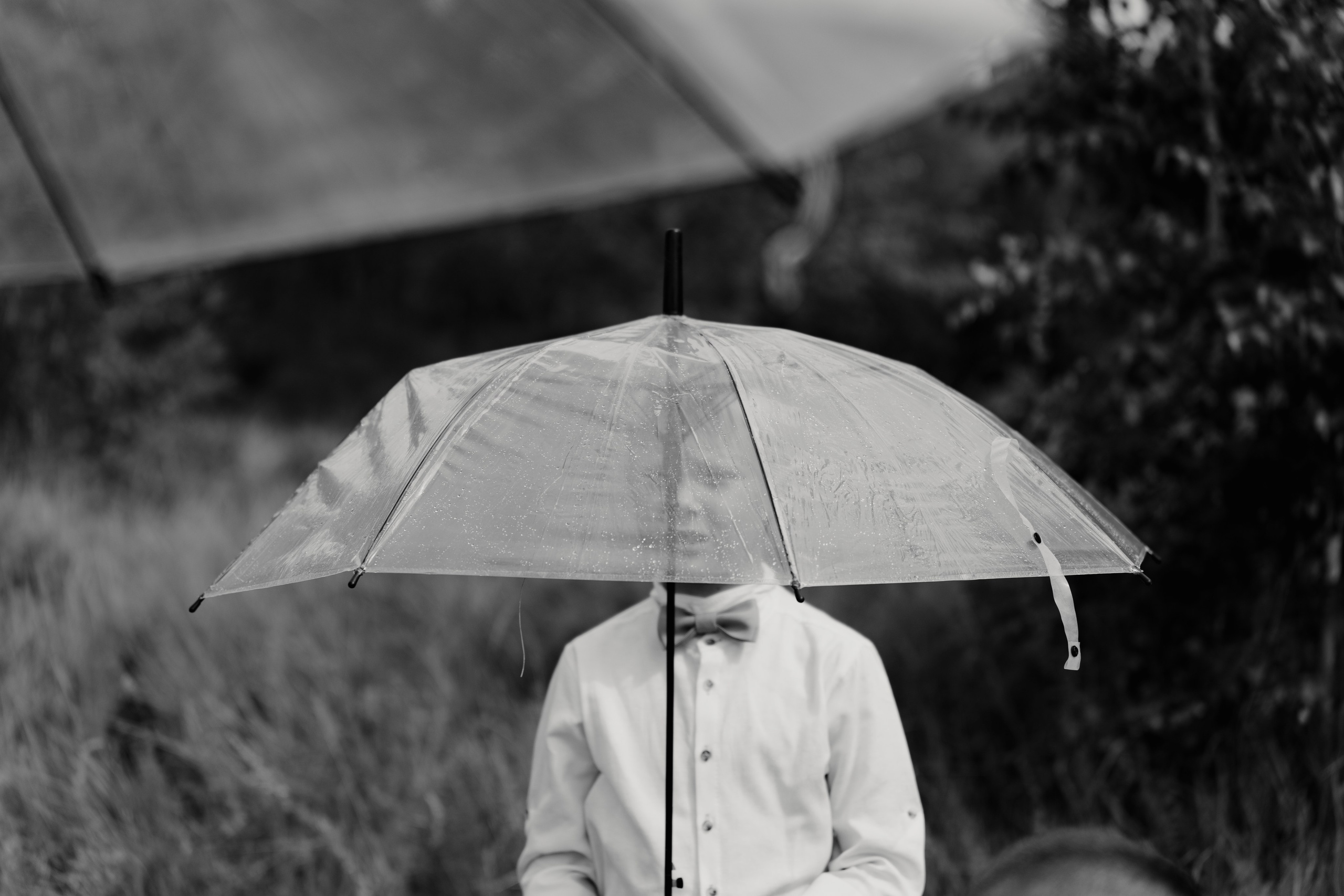 Солнечный день. Свадебный Фотограф Чита Малахов Филипп