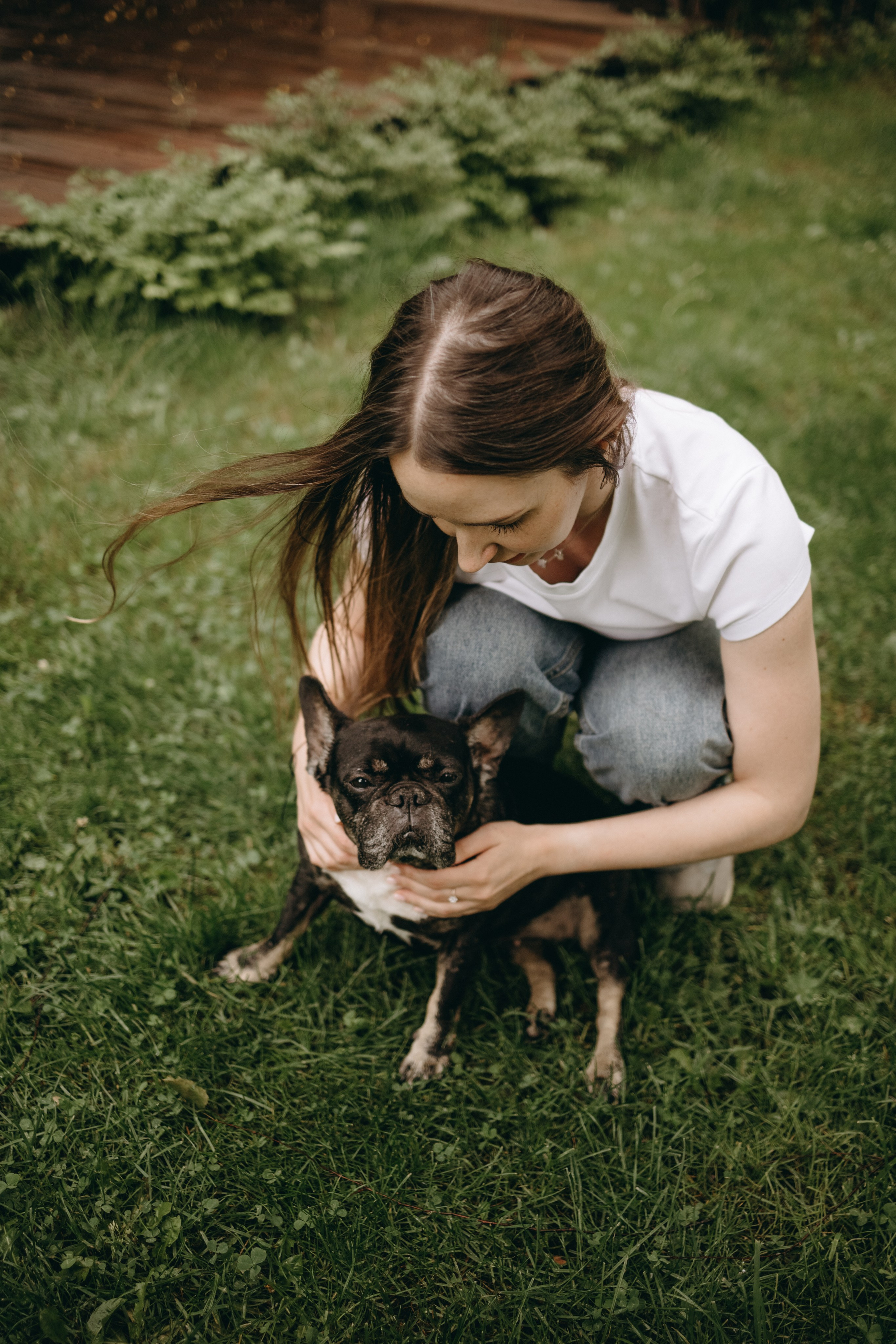 Софа и ее хвостики. Фотограф — Анималист | Санкт-Петербург
